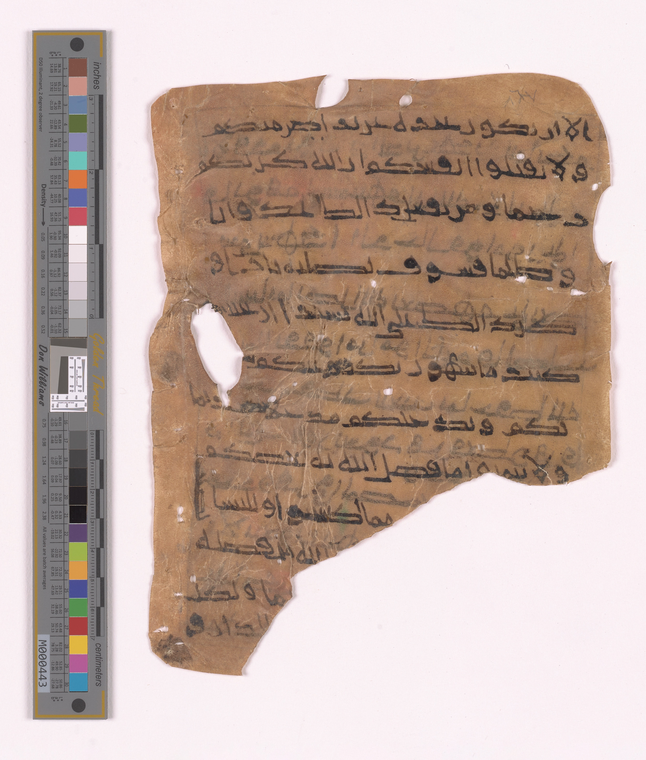 Doha, Qatar National Library HC.MS.03152 (Scan 1), in unknown script style script, showing Surah 4:33 from Uncertain (possibly a modern copy) found in Unknown, currently housed at Qatar National Library, Doha