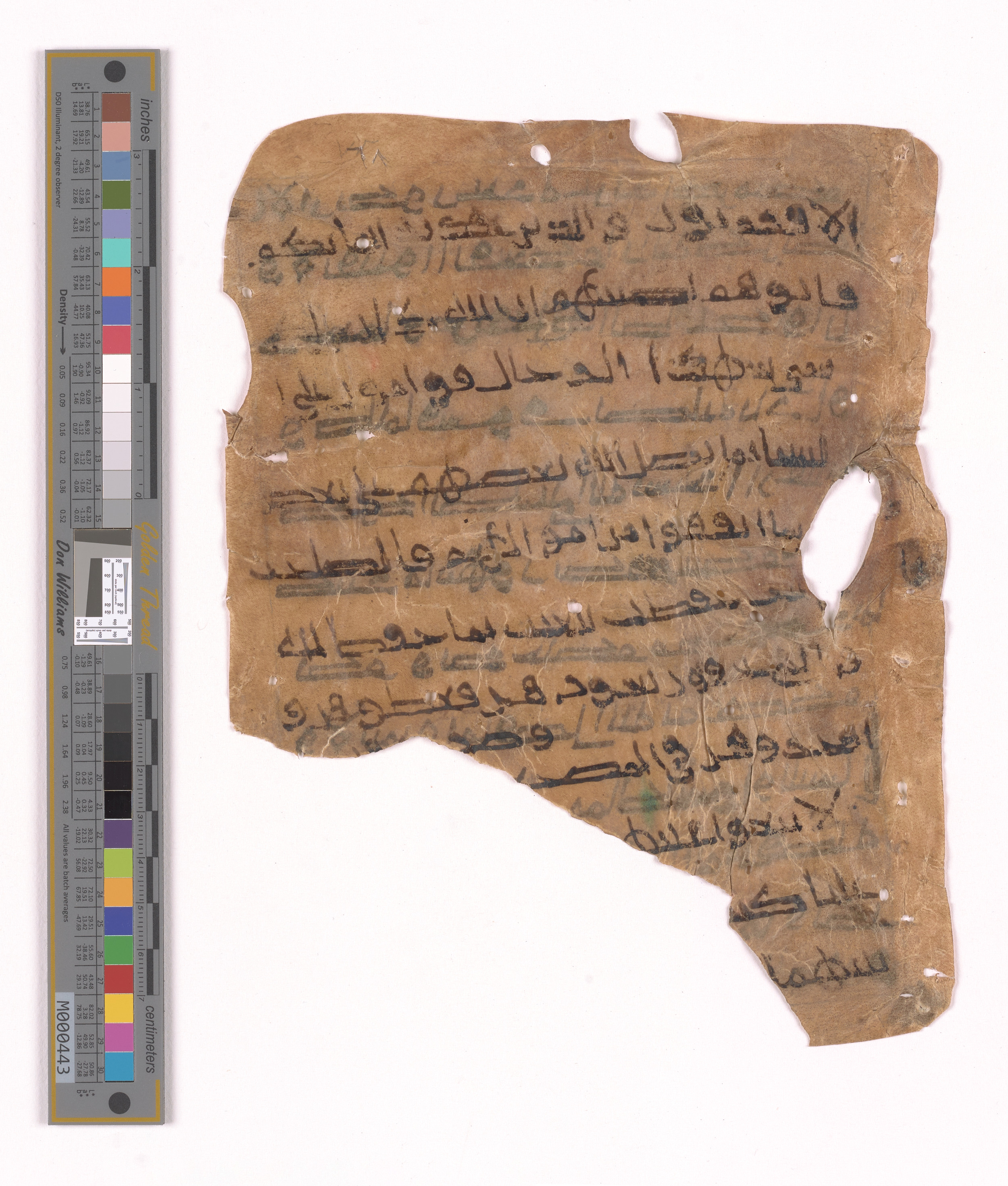 Doha, Qatar National Library HC.MS.03152 (Scan 2), in unknown script style script, showing Surah 4:33 from Uncertain (possibly a modern copy) found in Unknown, currently housed at Qatar National Library, Doha