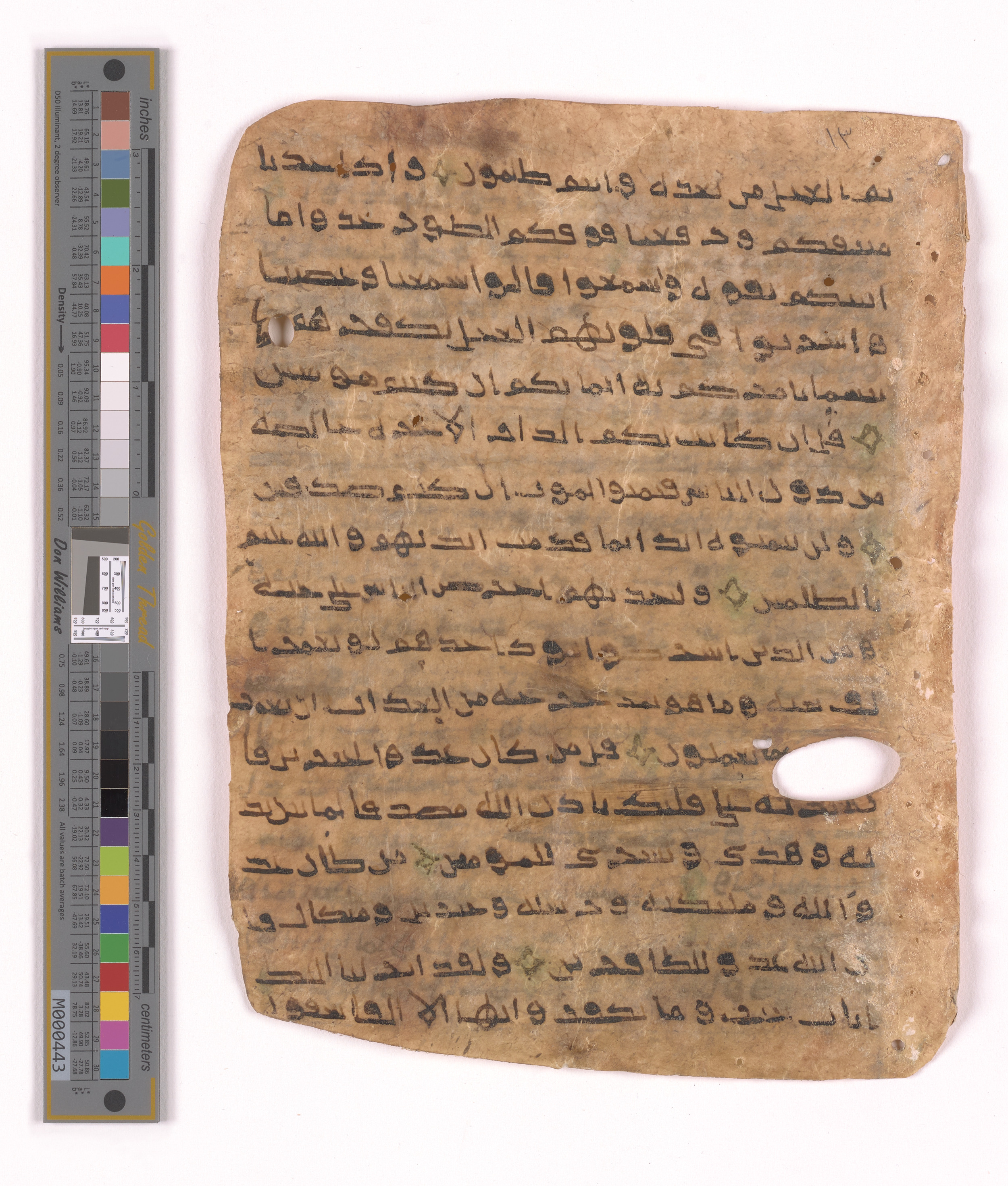Doha, Qatar National Library HC.MS.03152, in unknown script style script, showing Surah 2:96 from Uncertain (possibly a modern copy) found in Unknown, currently housed at Qatar National Library, Doha