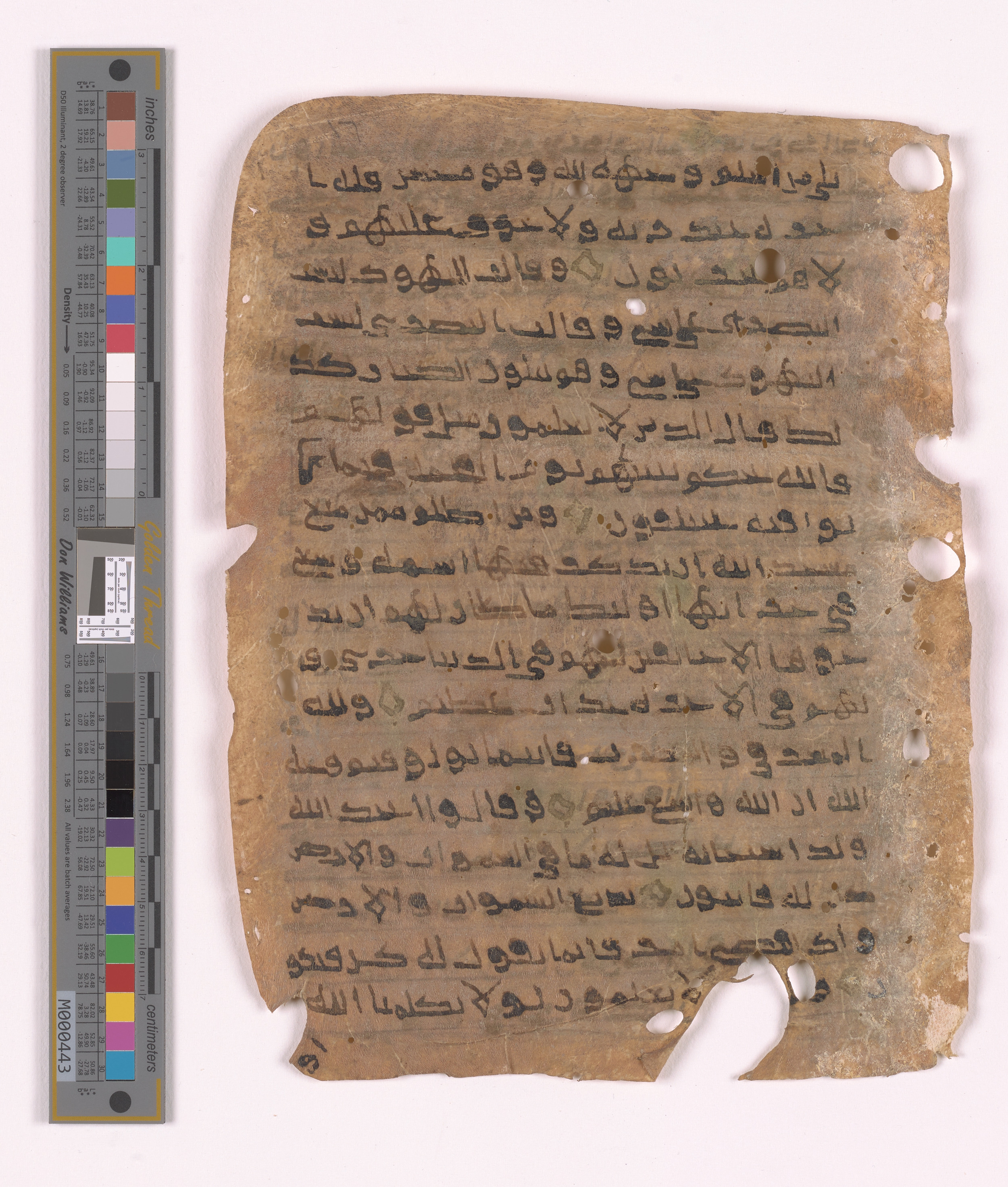 Doha, Qatar National Library HC.MS.03152, in unknown script style script, showing Surah 2:113 from Uncertain (possibly a modern copy) found in Unknown, currently housed at Qatar National Library, Doha