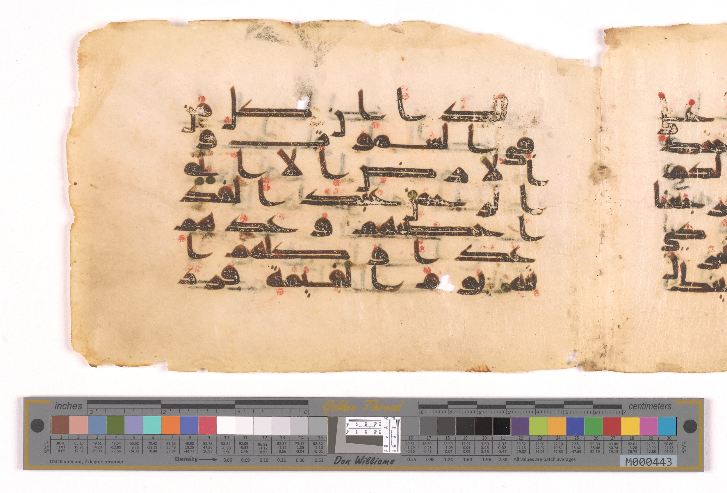 Doha, Qatar National Library (مكتبة قطرالوطنية), HC.MS.03188 (Scan 1), in kūfī, type D V a script, showing Surah 19:95 from Mid 8th to Late 9th Century AD found in Unknown, currently housed at Qatar National Library (مكتبة قطرالوطنية), Doha, Qatar