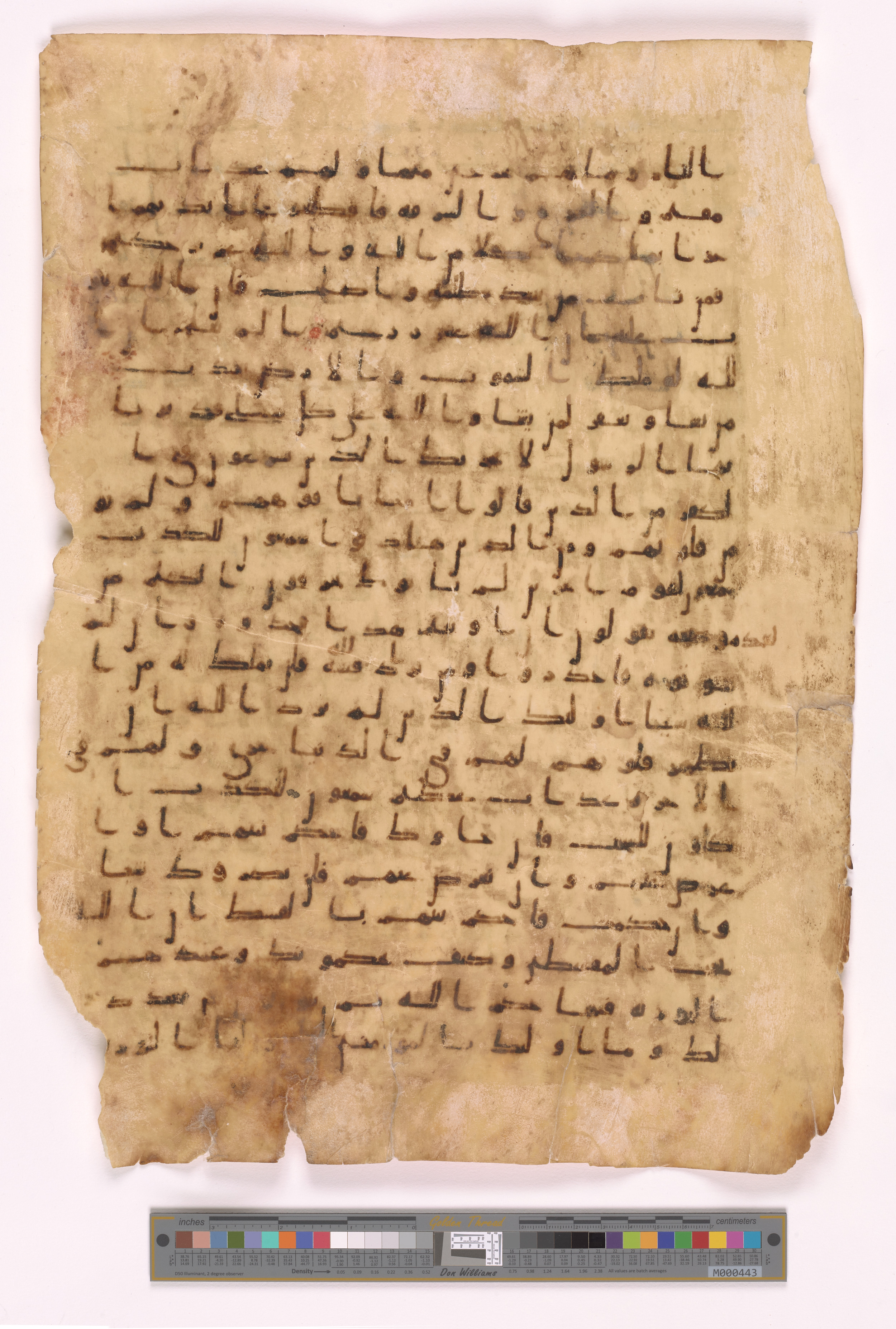 Doha, Qatar National Library, HC.MS.03222, in Late Ḥiǧāzī / Kūfī B.Ia script, showing Surah 5:39 from Late 7th to Mid 8th Century AD found in Unknown, currently housed at Qatar National Library, Doha