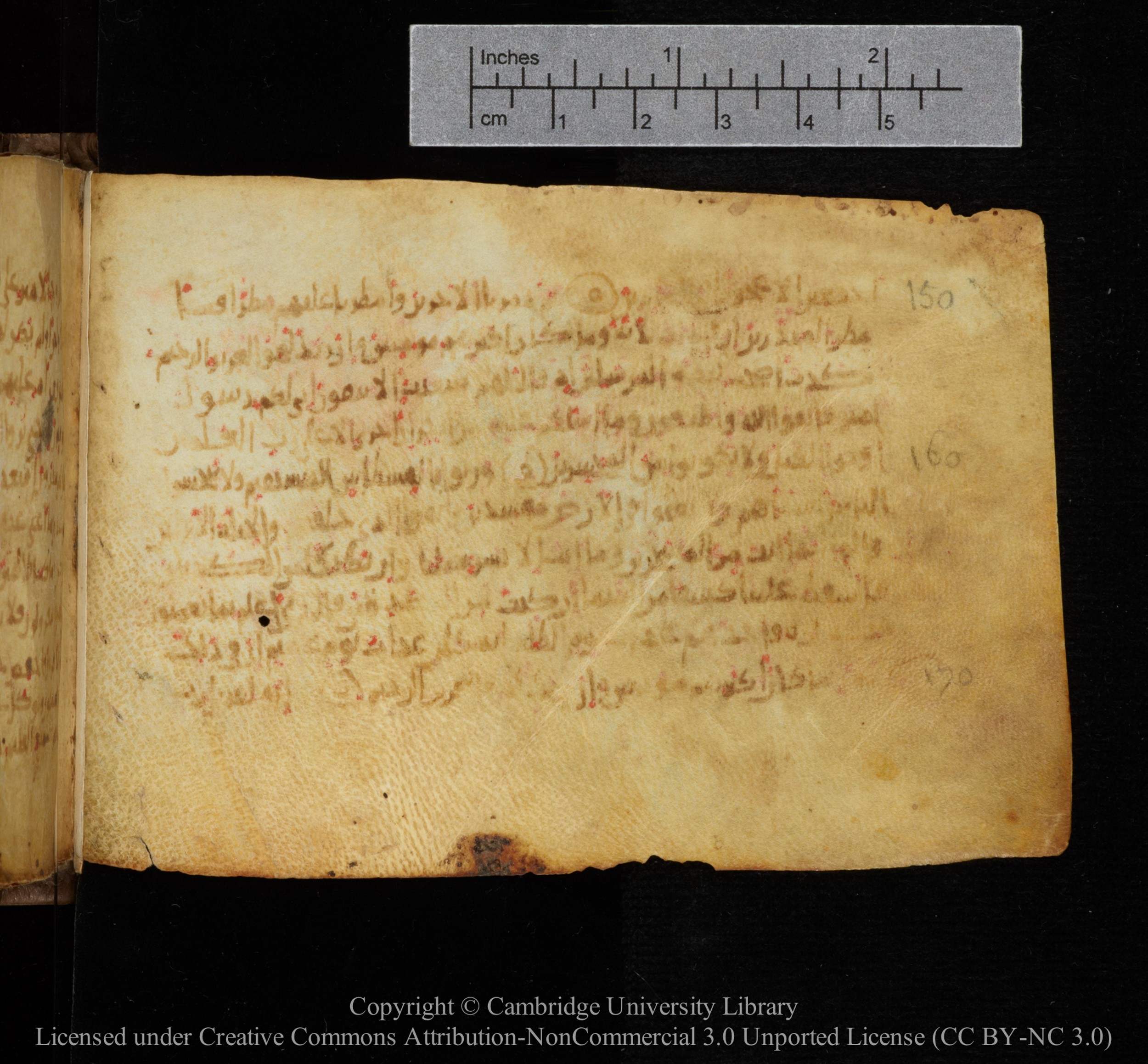 Cambridge, Cambridge University Library, MS Add.1141, in kūfī script, showing Surah 26:175 from 10th to 12th Century AD found in Sinai Peninsula, currently housed at Cambridge University Library, Cambridge