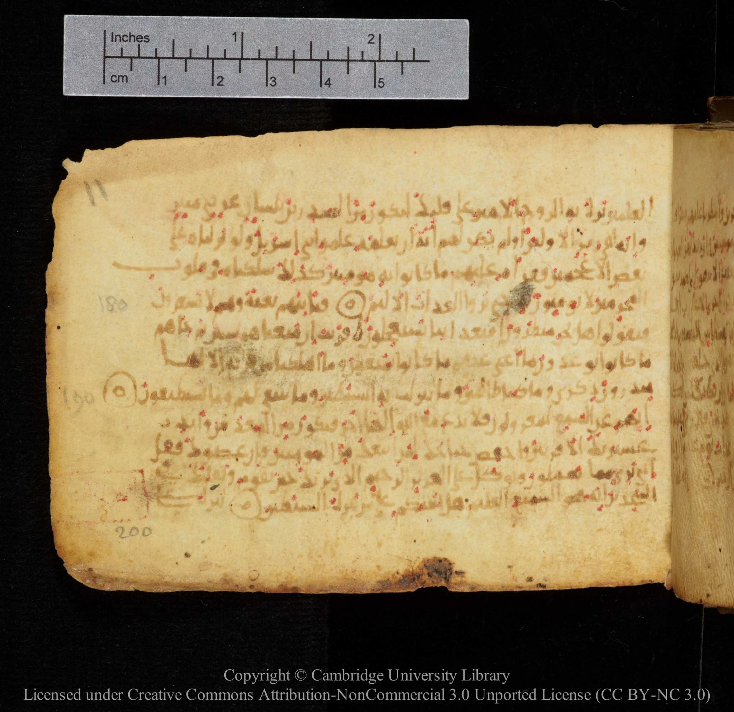 Cambridge, Cambridge University Library, MS Add.1141, in kūfī script, showing Surah 26:201 from 10th to 12th Century AD found in Sinai Peninsula, currently housed at Cambridge University Library, Cambridge