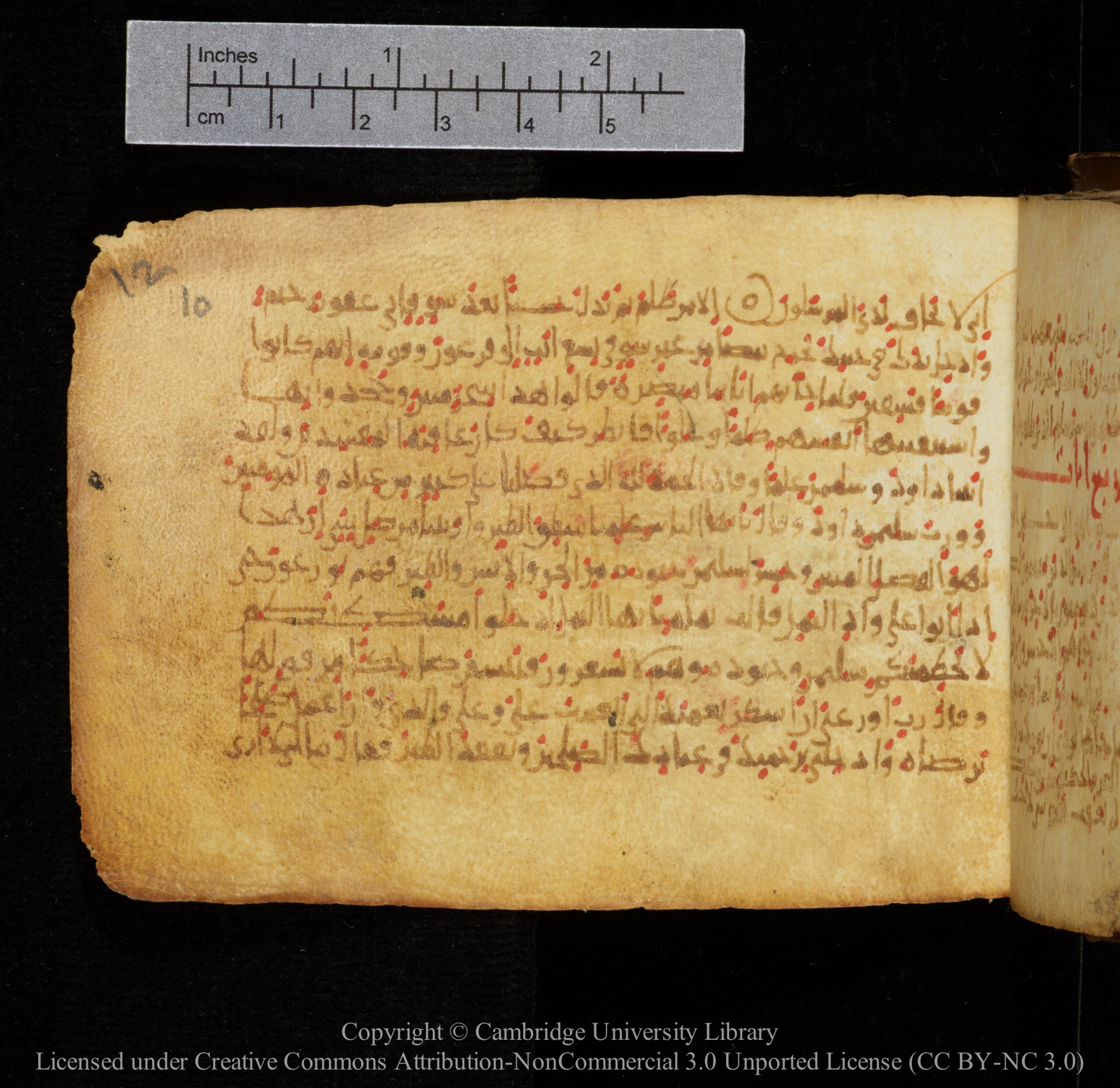 Cambridge, Cambridge University Library, MS Add.1141, in kūfī script, showing Surah 27:13 from 10th to 12th Century AD found in Sinai Peninsula, currently housed at Cambridge University Library, Cambridge