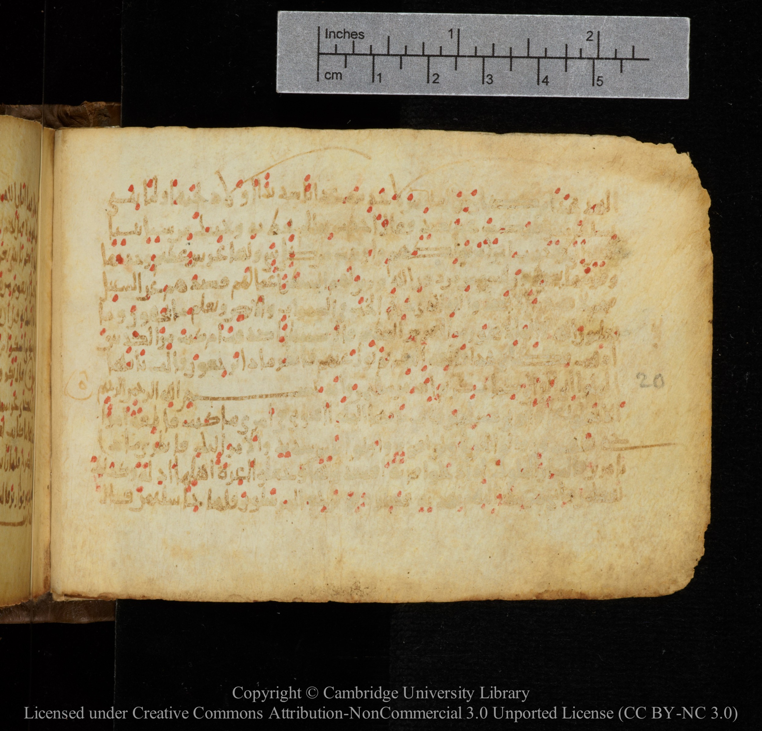 Cambridge, Cambridge University Library, MS Add.1141, in kūfī script, showing Surah 27:21 from 10th to 12th Century AD found in Sinai Peninsula, currently housed at Cambridge University Library, Cambridge