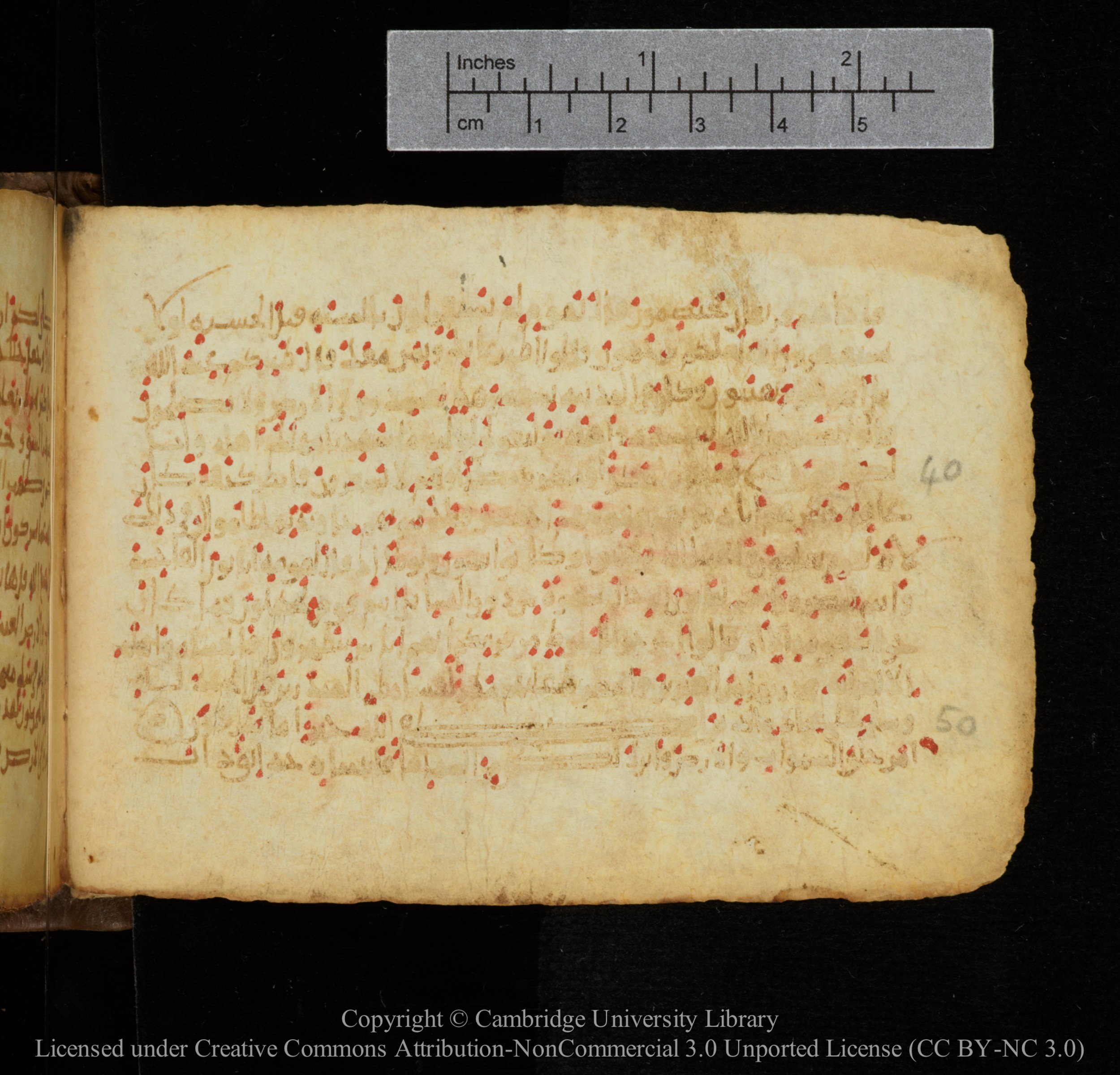 Cambridge, Cambridge University Library, MS Add.1141, in kūfī script, showing Surah 27:46 from 10th to 12th Century AD found in Sinai Peninsula, currently housed at Cambridge University Library, Cambridge