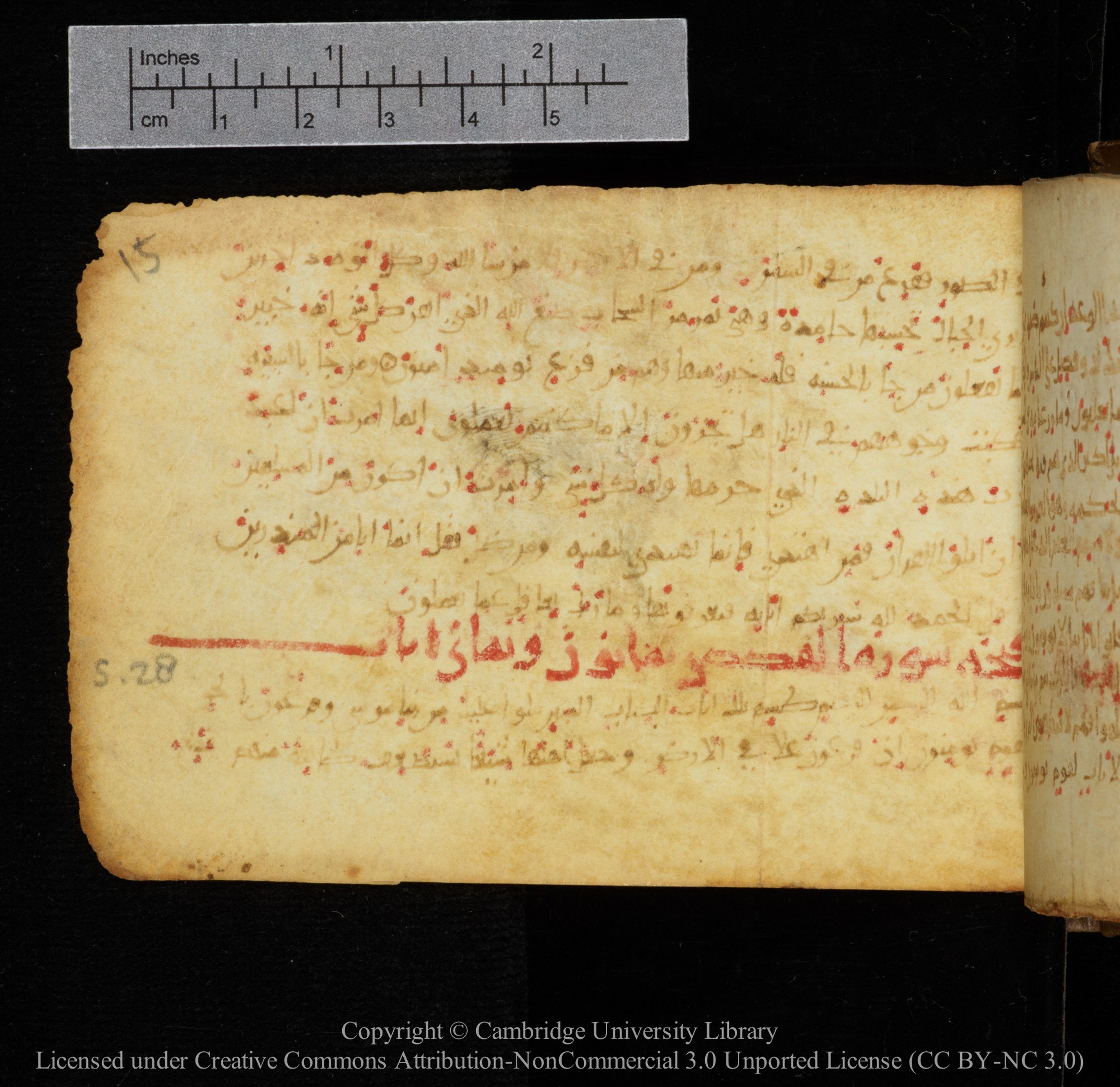 Cambridge, Cambridge University Library, MS Add.1141, in kūfī script, showing Surah 28:2 from 10th to 12th Century AD found in Sinai Peninsula, currently housed at Cambridge University Library, Cambridge