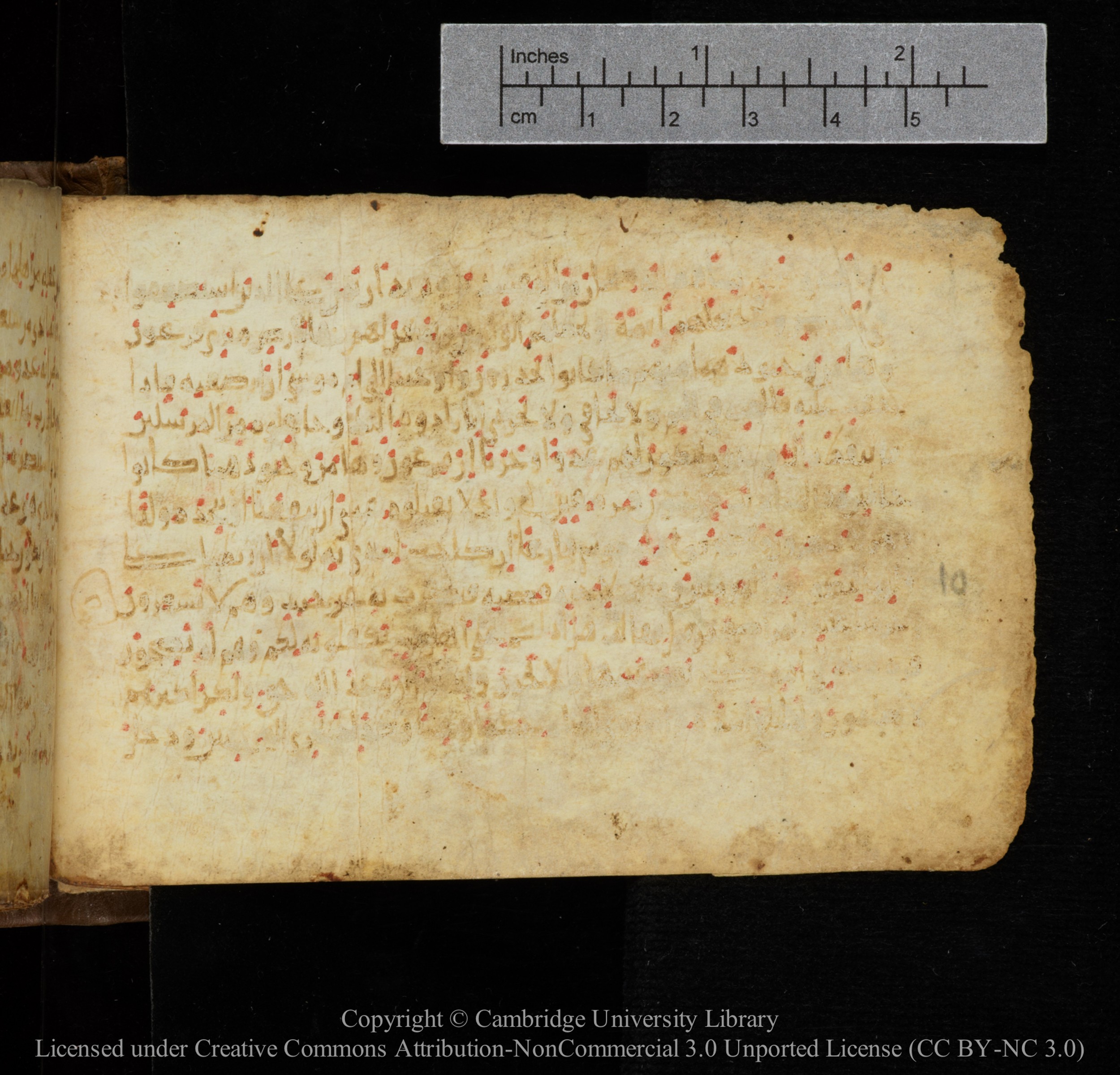Cambridge, Cambridge University Library, MS Add.1141, in kūfī script, showing Surah 28:7 from 10th to 12th Century AD found in Sinai Peninsula, currently housed at Cambridge University Library, Cambridge