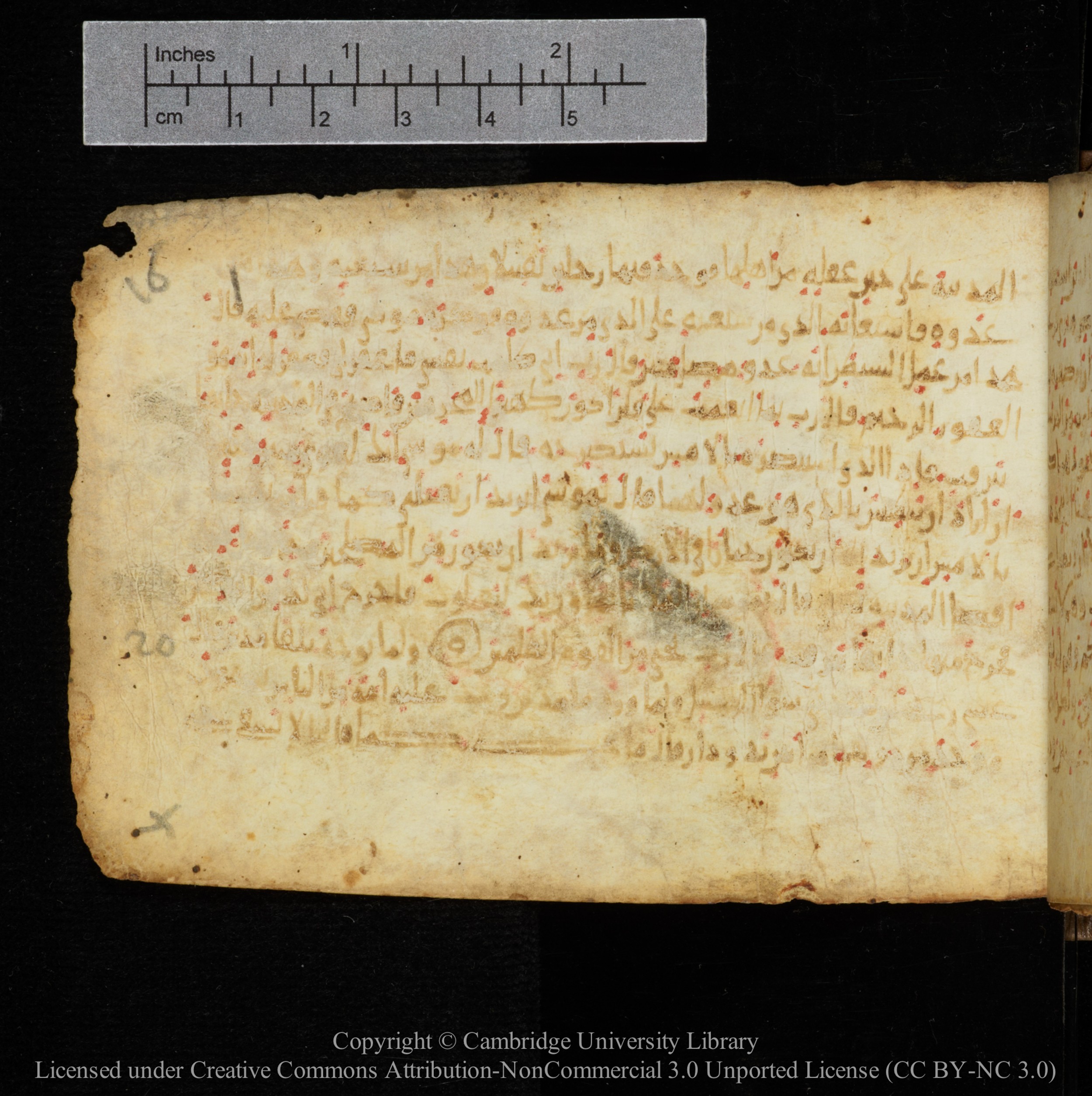 Cambridge, Cambridge University Library, MS Add.1141, in kūfī script, showing Surah 28:16 from 10th to 12th Century AD found in Sinai Peninsula, currently housed at Cambridge University Library, Cambridge
