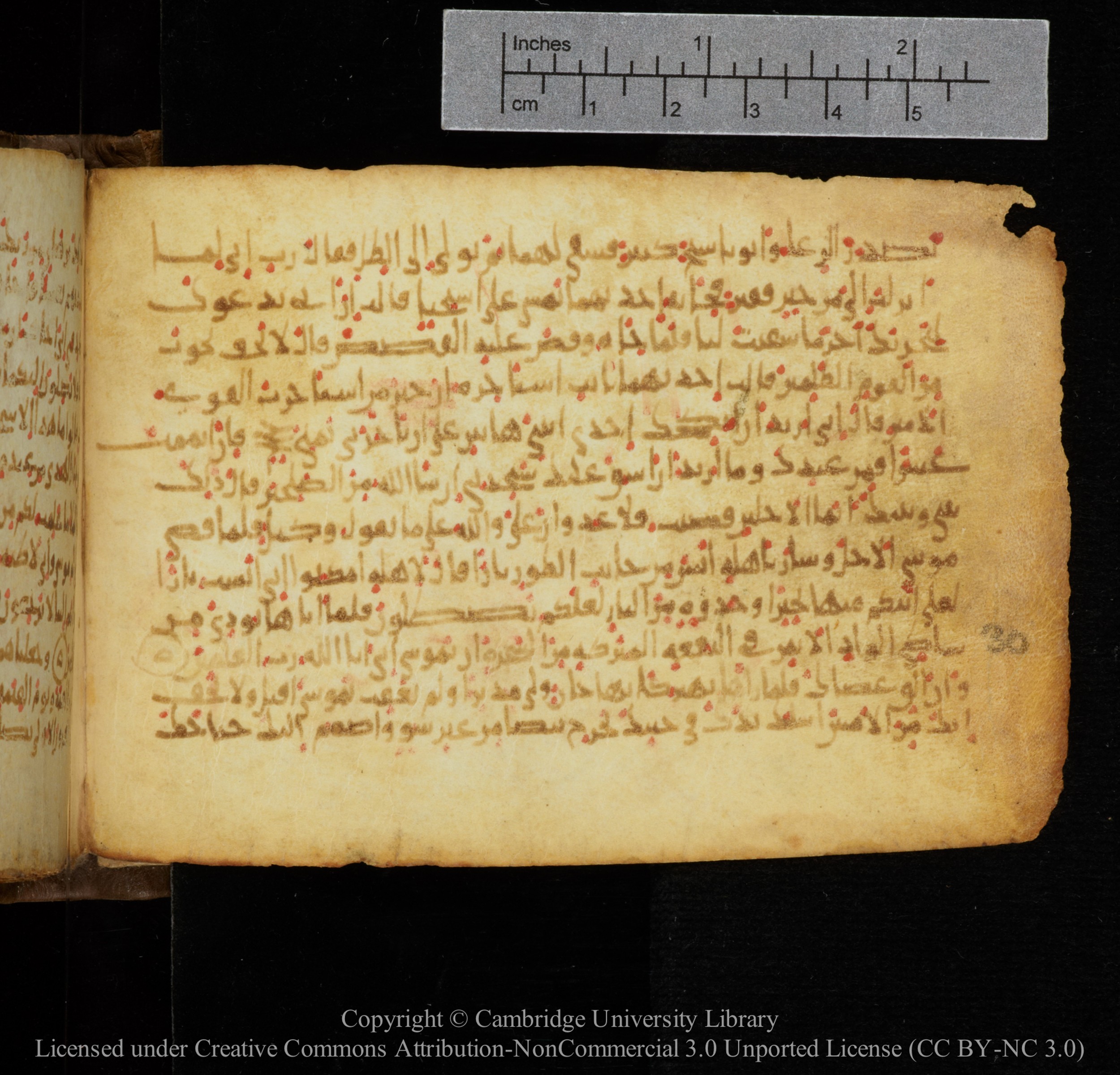 Cambridge, Cambridge University Library, MS Add.1141 (Scan 1), in kūfī script, showing Surah 28:32 from 10th to 12th Century AD found in Sinai Peninsula, currently housed at Cambridge University Library, Cambridge