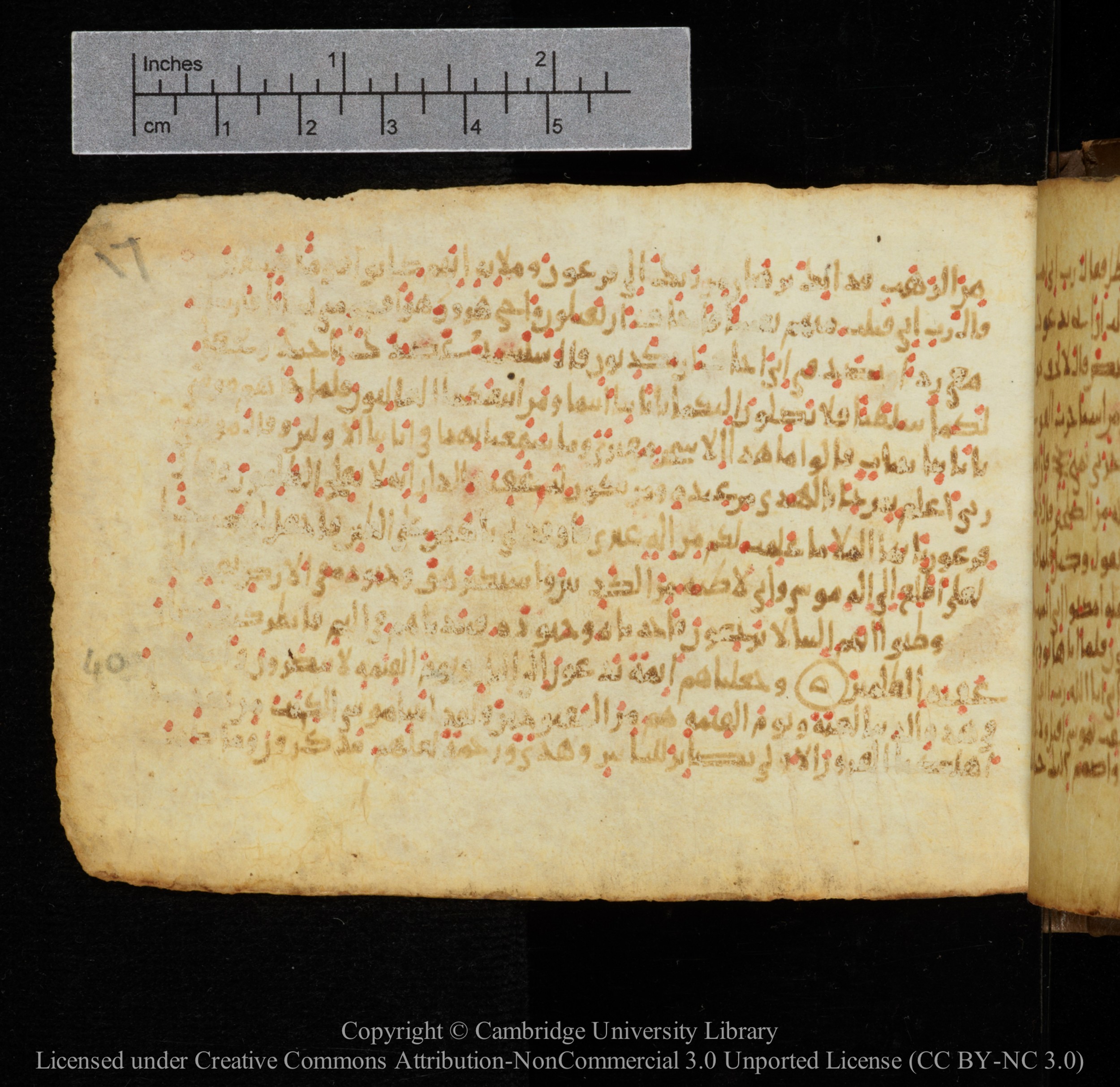 Cambridge, Cambridge University Library, MS Add.1141, in kūfī script, showing Surah 28:39 from 10th to 12th Century AD found in Sinai Peninsula, currently housed at Cambridge University Library, Cambridge
