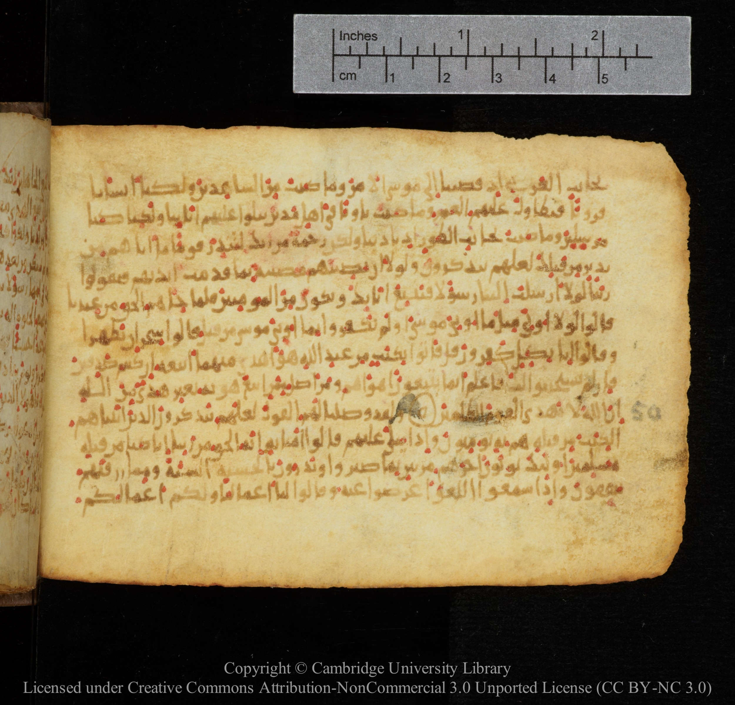 Cambridge, Cambridge University Library, MS Add.1141, in kūfī script, showing Surah 28:49 from 10th to 12th Century AD found in Sinai Peninsula, currently housed at Cambridge University Library, Cambridge