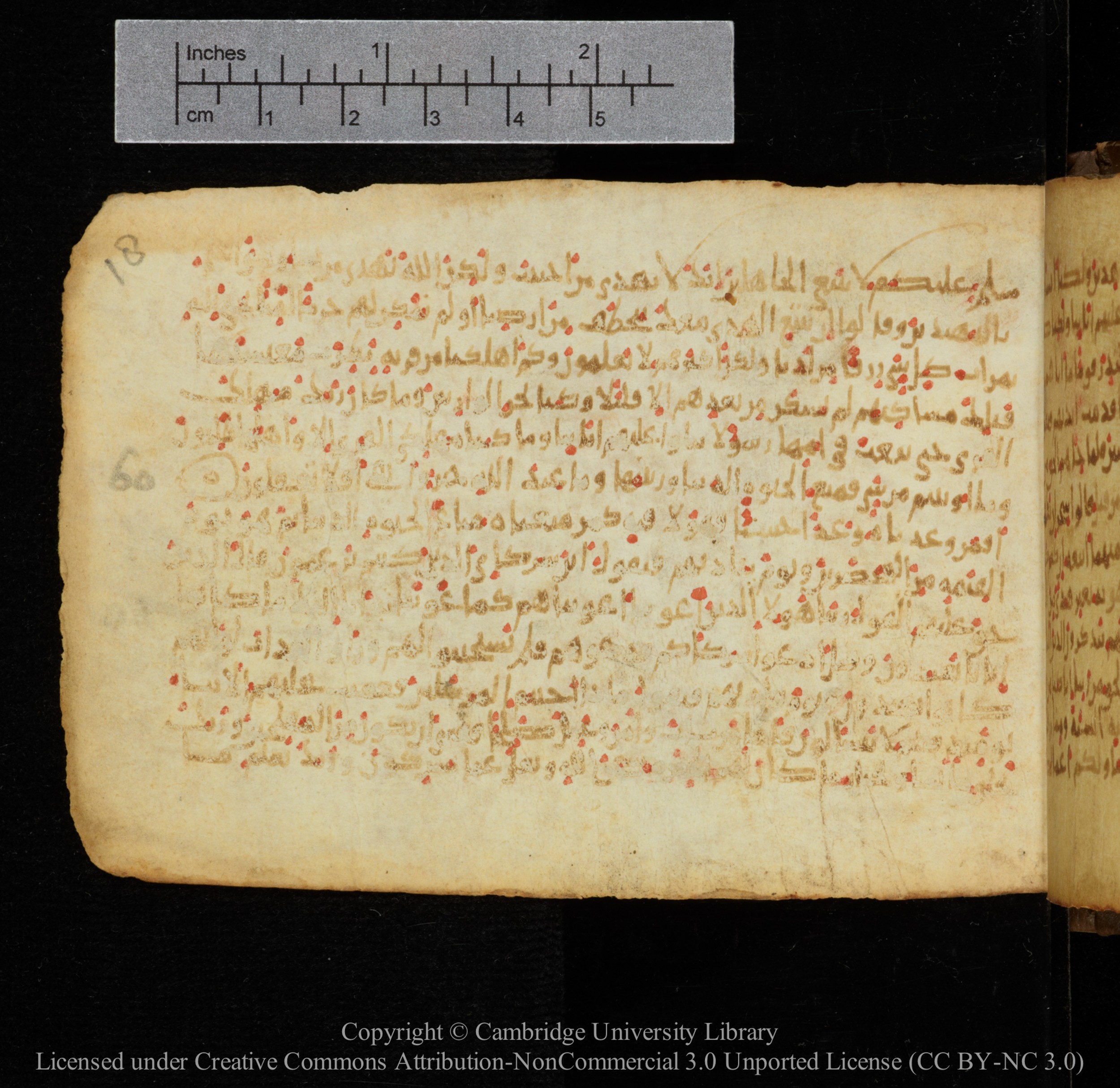 Cambridge, Cambridge University Library, MS Add.1141 (Scan 1), in kūfī script, showing Surah 28:69 from 10th to 12th Century AD found in Sinai Peninsula, currently housed at Cambridge University Library, Cambridge