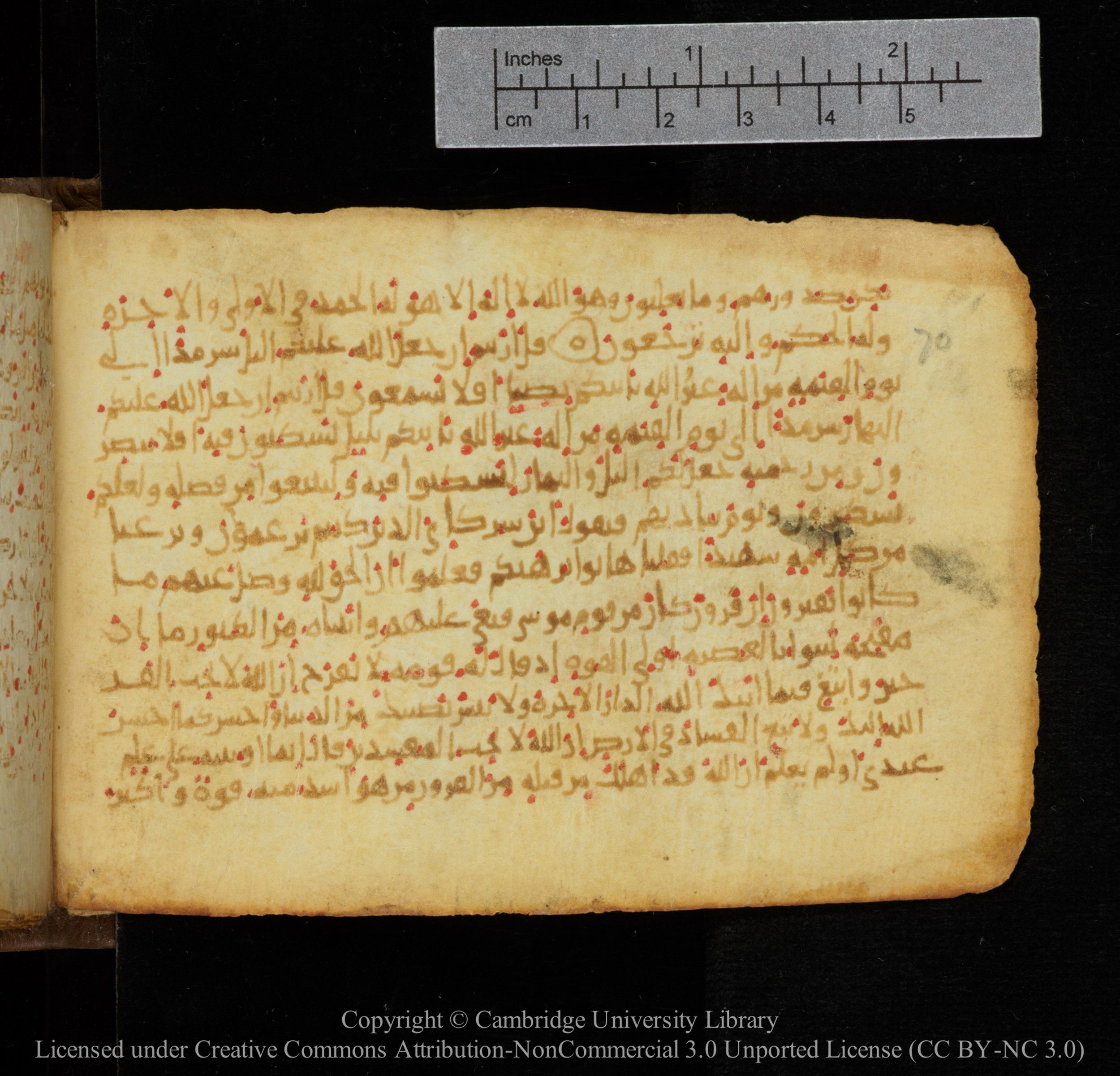 Cambridge, Cambridge University Library, MS Add.1141, in kūfī script, showing Surah 28:71 from 10th to 12th Century AD found in Sinai Peninsula, currently housed at Cambridge University Library, Cambridge