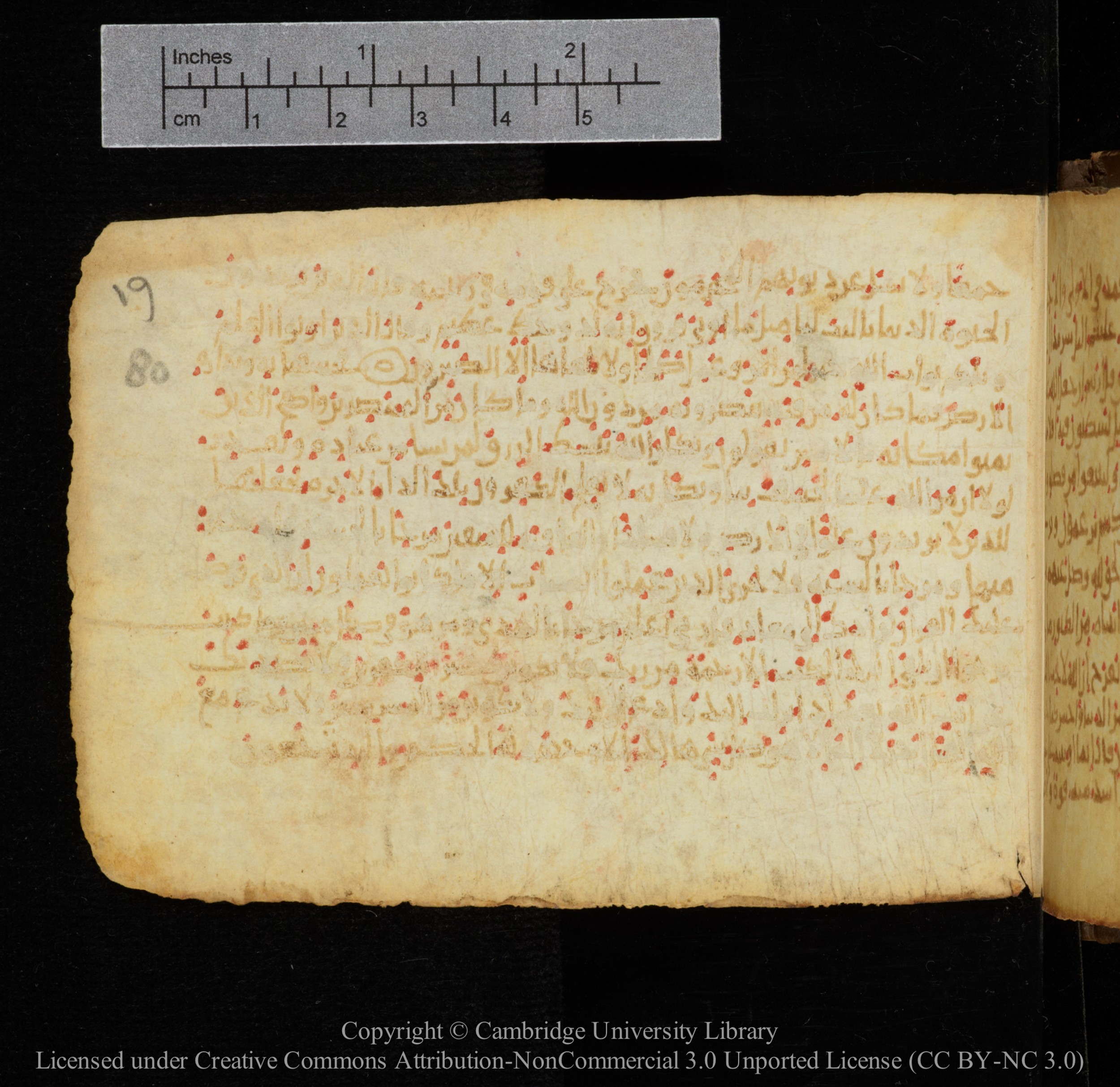 Cambridge, Cambridge University Library, MS Add.1141, in kūfī script, showing Surah 28:83 from 10th to 12th Century AD found in Sinai Peninsula, currently housed at Cambridge University Library, Cambridge