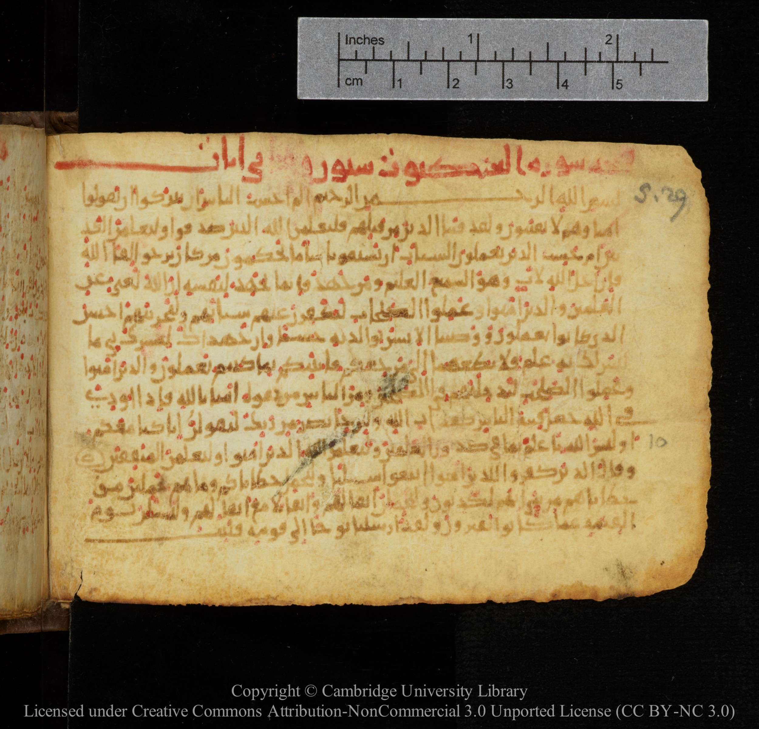 Cambridge, Cambridge University Library, MS Add.1141, in kūfī script, showing Surah 29:3 from 10th to 12th Century AD found in Sinai Peninsula, currently housed at Cambridge University Library, Cambridge