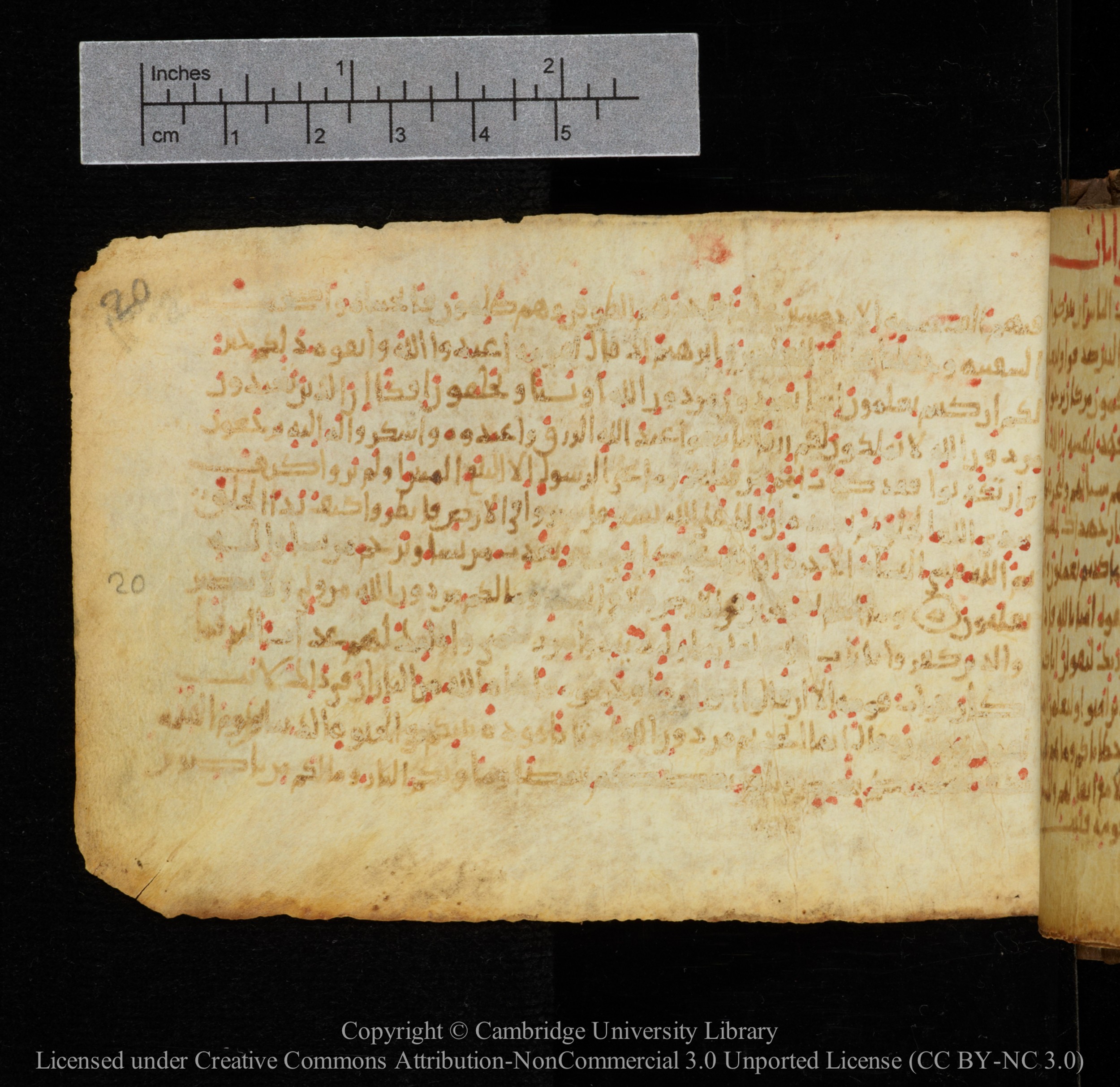 Cambridge, Cambridge University Library, MS Add.1141, in kūfī script, showing Surah 29:21 from 10th to 12th Century AD found in Sinai Peninsula, currently housed at Cambridge University Library, Cambridge