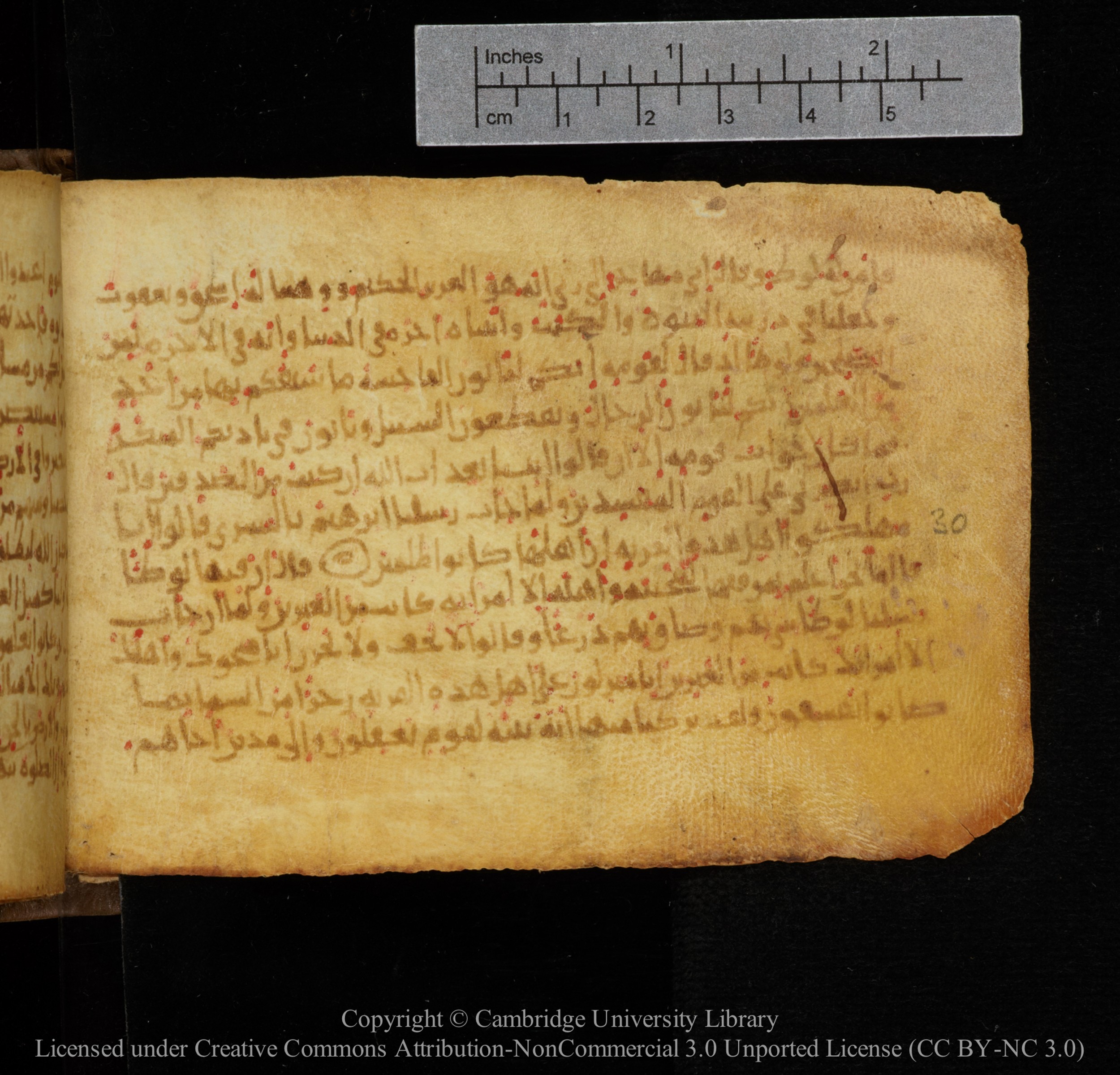 Cambridge, Cambridge University Library, MS Add.1141, in kūfī script, showing Surah 29:32 from 10th to 12th Century AD found in Sinai Peninsula, currently housed at Cambridge University Library, Cambridge
