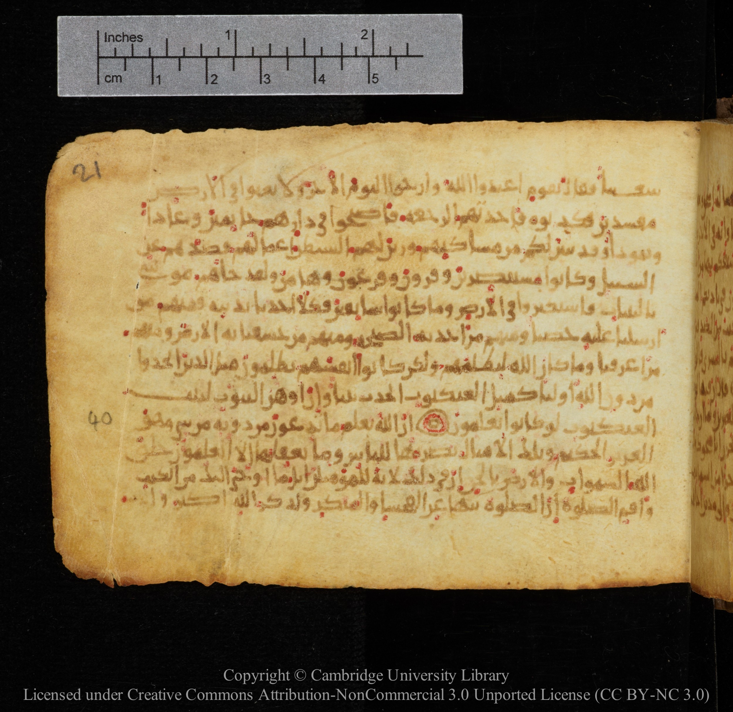 Cambridge, Cambridge University Library, MS Add.1141, in kūfī script, showing Surah 29:39 from 10th to 12th Century AD found in Sinai Peninsula, currently housed at Cambridge University Library, Cambridge