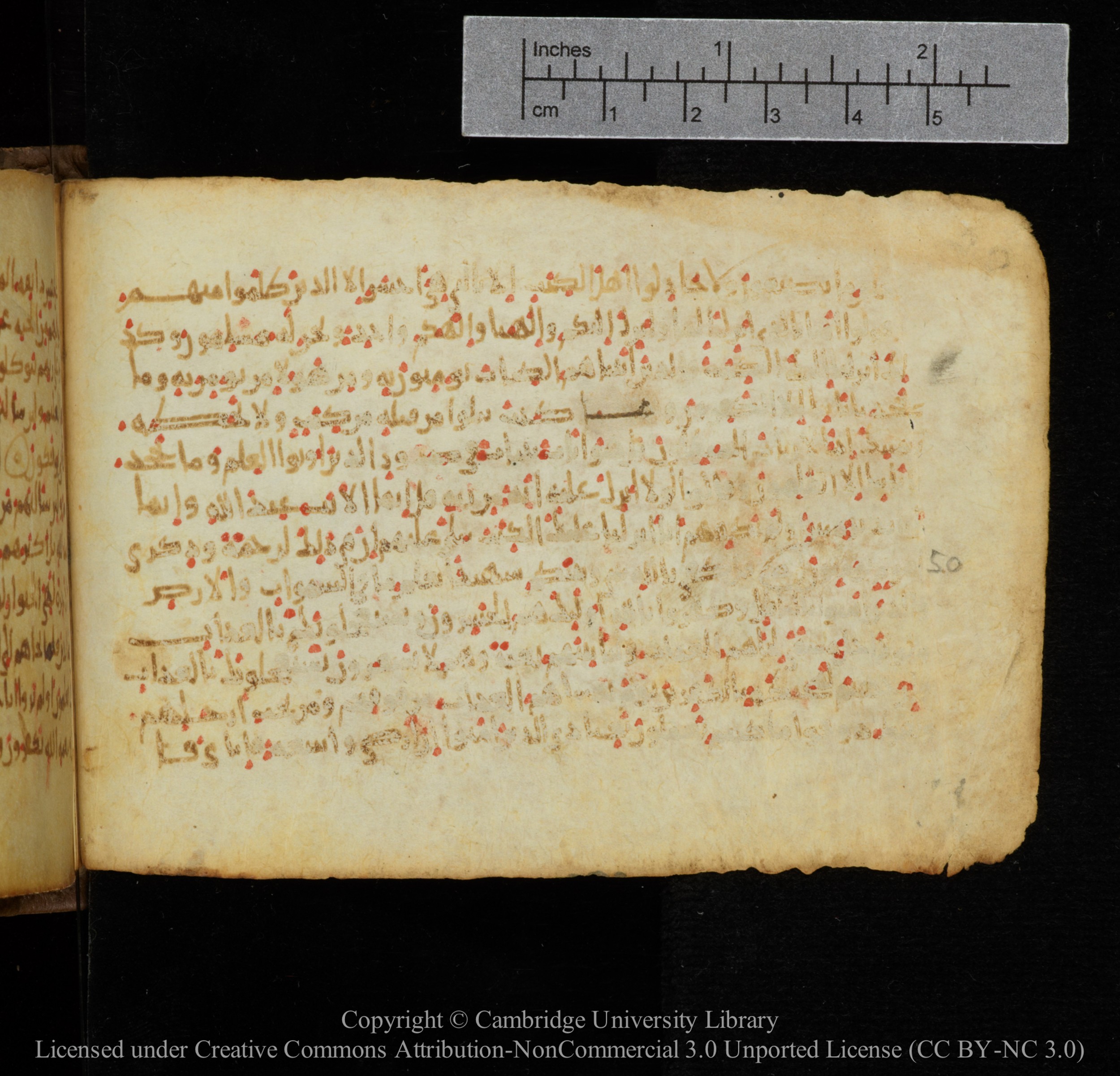 Cambridge, Cambridge University Library, MS Add.1141, in kūfī script, showing Surah 29:49 from 10th to 12th Century AD found in Sinai Peninsula, currently housed at Cambridge University Library, Cambridge