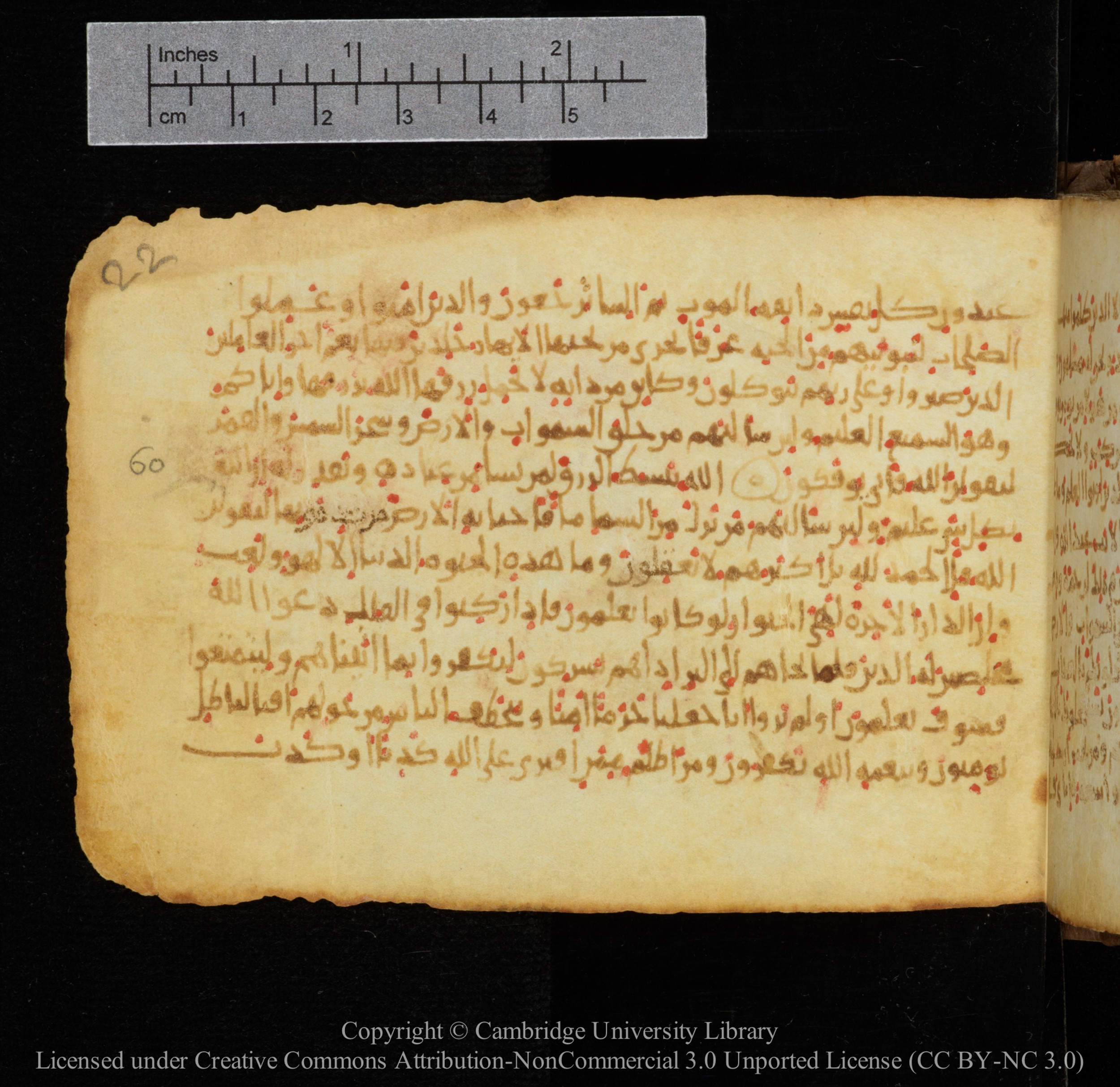 Cambridge, Cambridge University Library, MS Add.1141, in kūfī script, showing Surah 29:64 from 10th to 12th Century AD found in Sinai Peninsula, currently housed at Cambridge University Library, Cambridge
