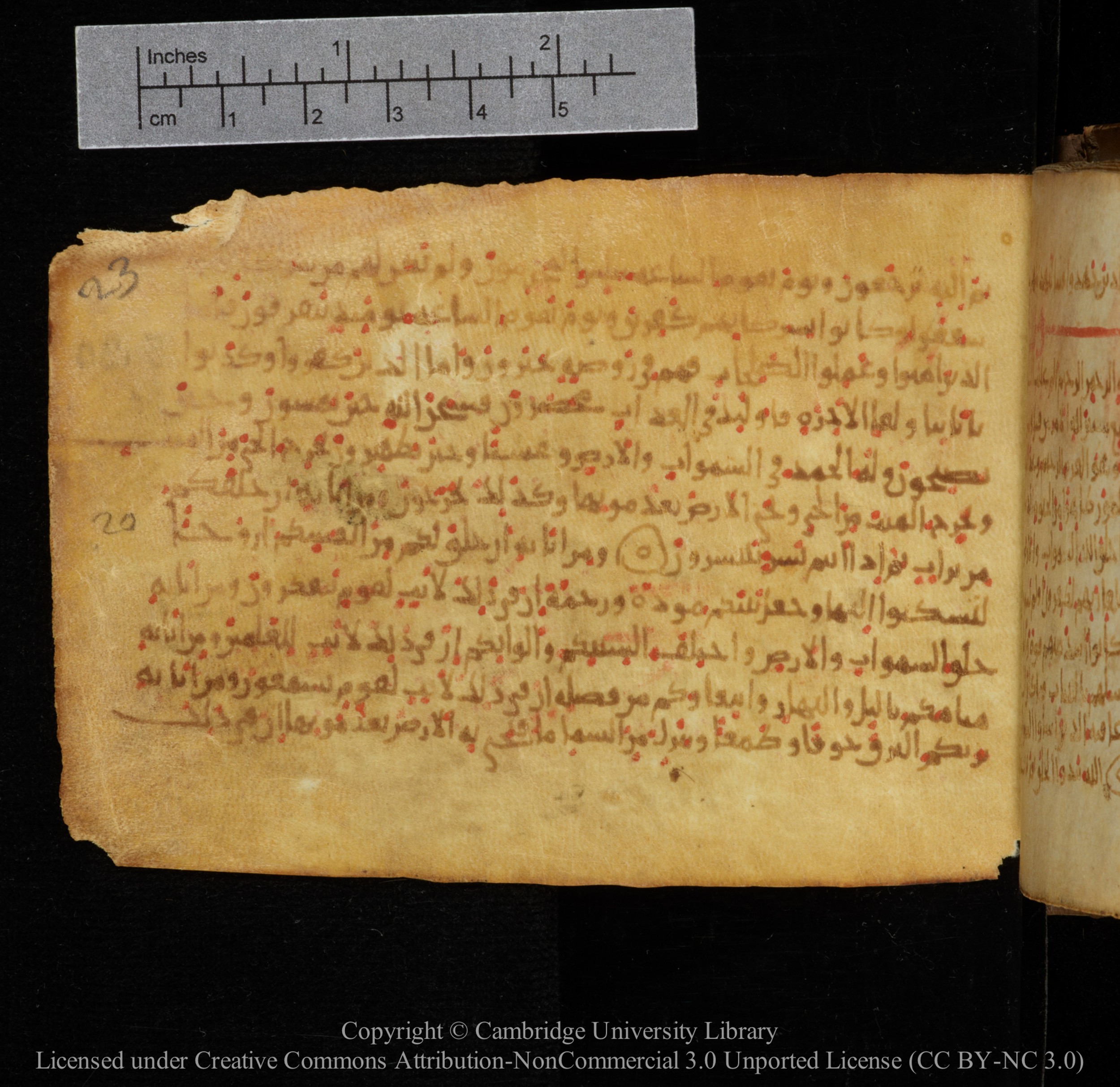 Cambridge, Cambridge University Library, MS Add.1141, in kūfī script, showing Surah 30:13 from 10th to 12th Century AD found in Sinai Peninsula, currently housed at Cambridge University Library, Cambridge