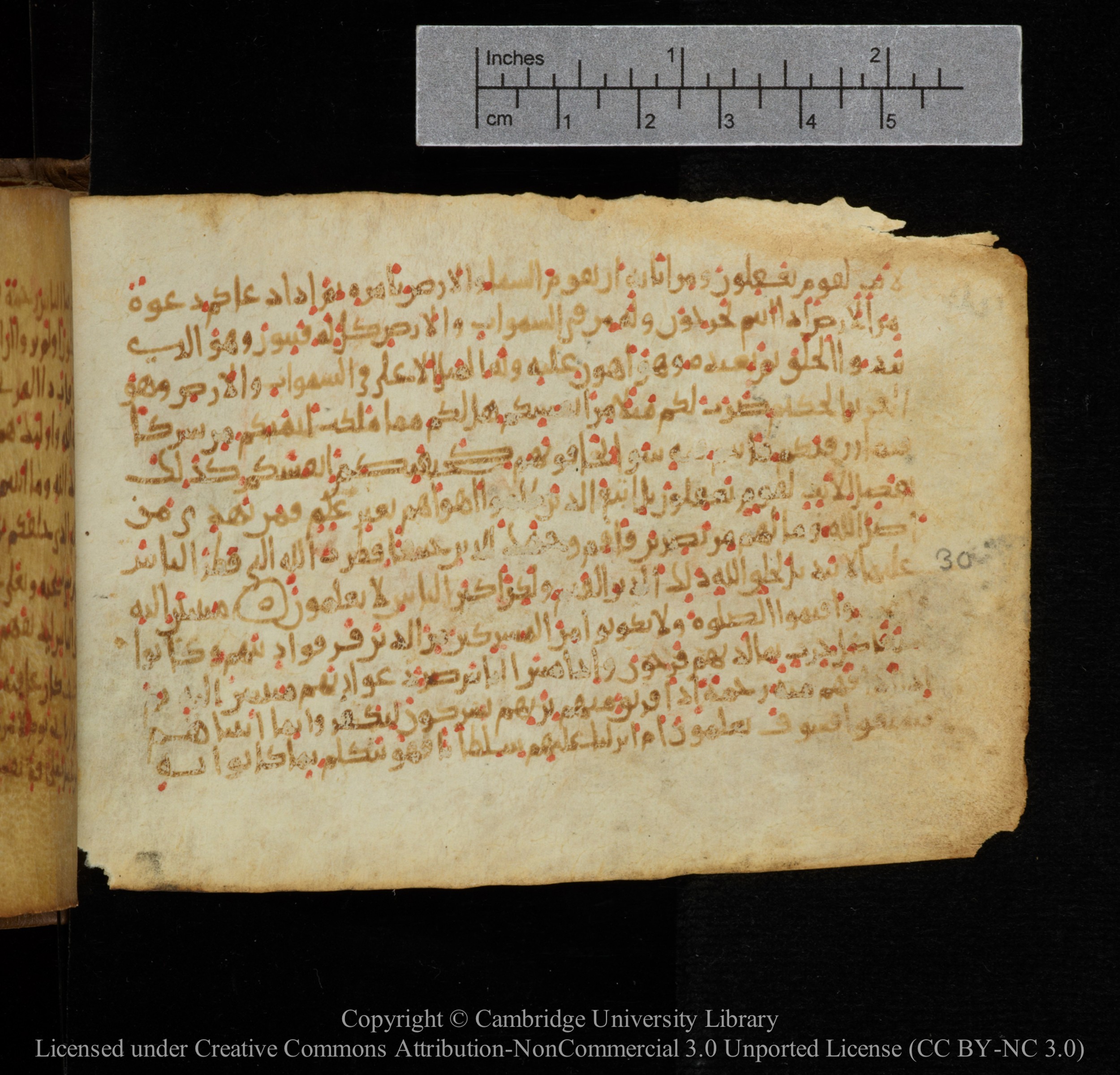 Cambridge, Cambridge University Library, MS Add.1141, in kūfī script, showing Surah 30:32 from 10th to 12th Century AD found in Sinai Peninsula, currently housed at Cambridge University Library, Cambridge