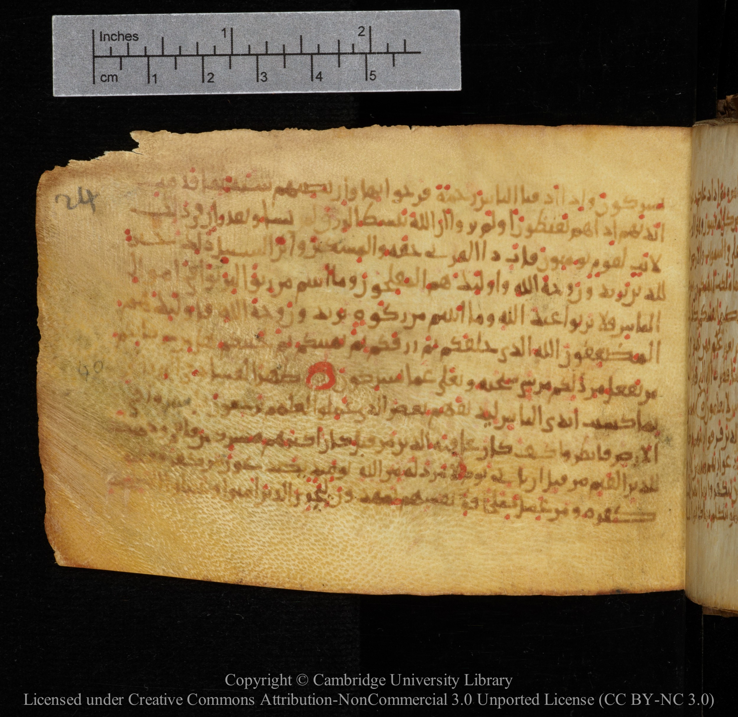 Cambridge, Cambridge University Library, MS Add.1141, in kūfī script, showing Surah 30:40 from 10th to 12th Century AD found in Sinai Peninsula, currently housed at Cambridge University Library, Cambridge
