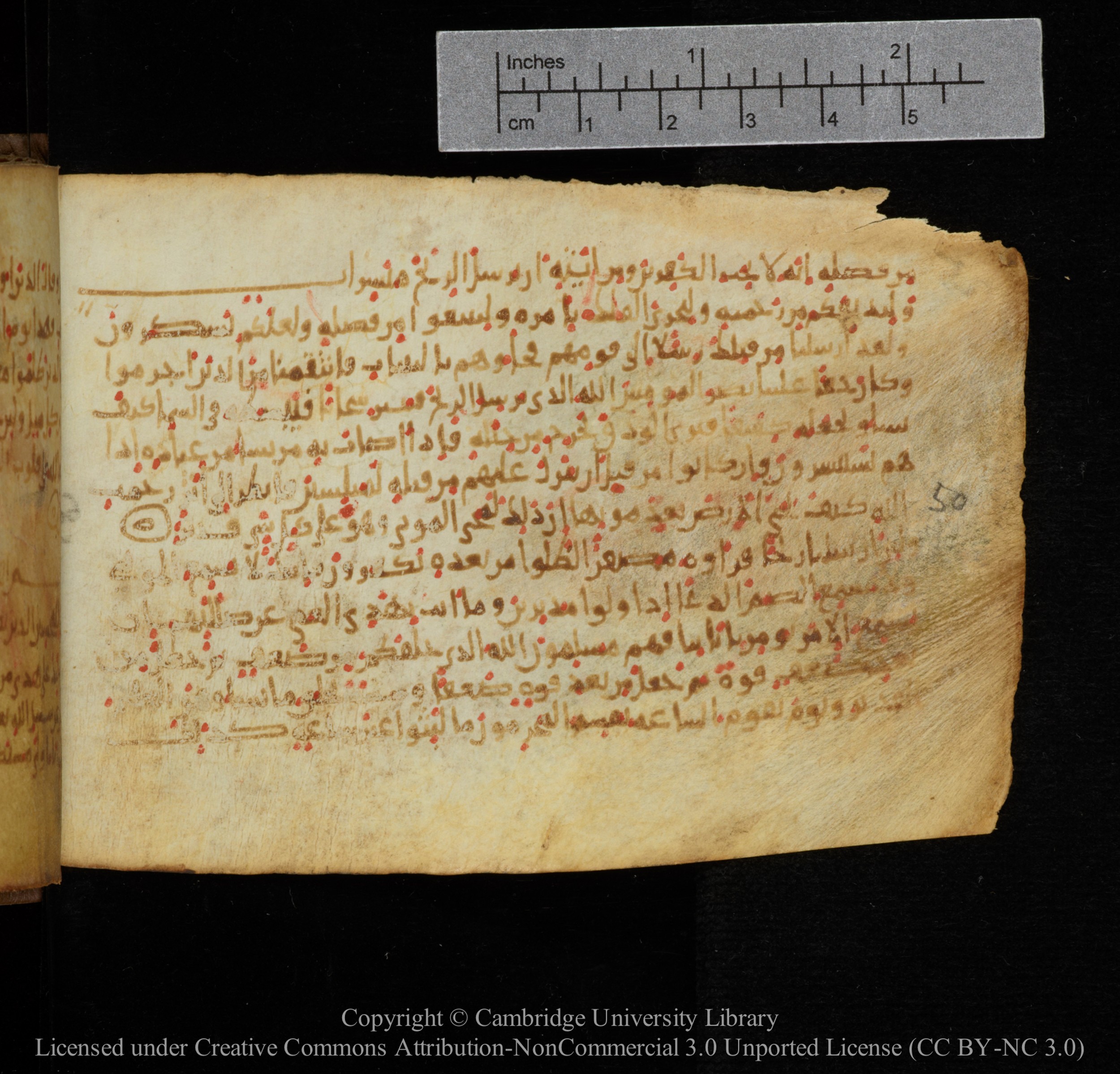 Cambridge, Cambridge University Library, MS Add.1141, in kūfī script, showing Surah 30:49 from 10th to 12th Century AD found in Sinai Peninsula, currently housed at Cambridge University Library, Cambridge