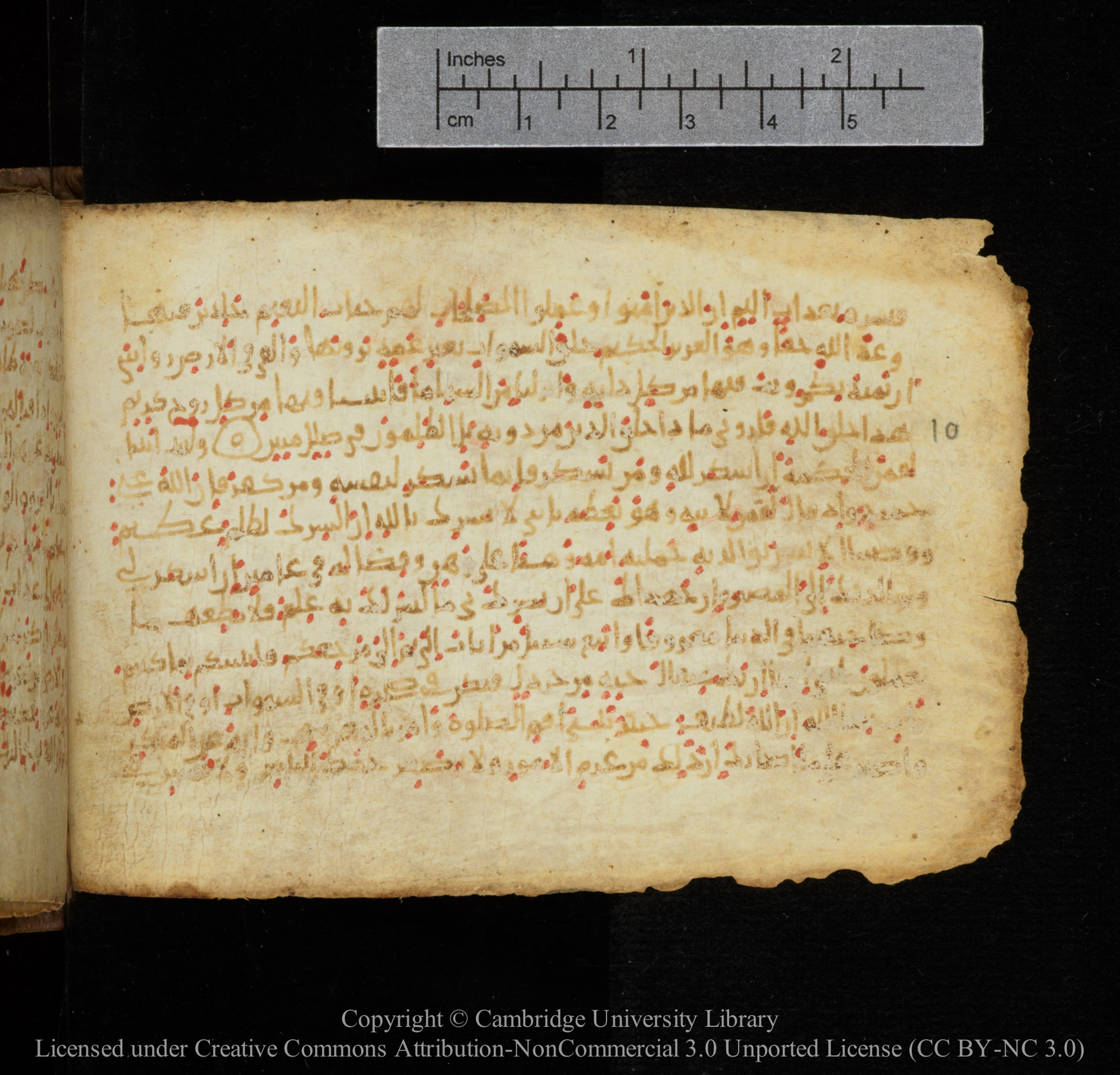 Cambridge, Cambridge University Library, MS Add.1141, in kūfī script, showing Surah 31:13 from 10th to 12th Century AD found in Sinai Peninsula, currently housed at Cambridge University Library, Cambridge