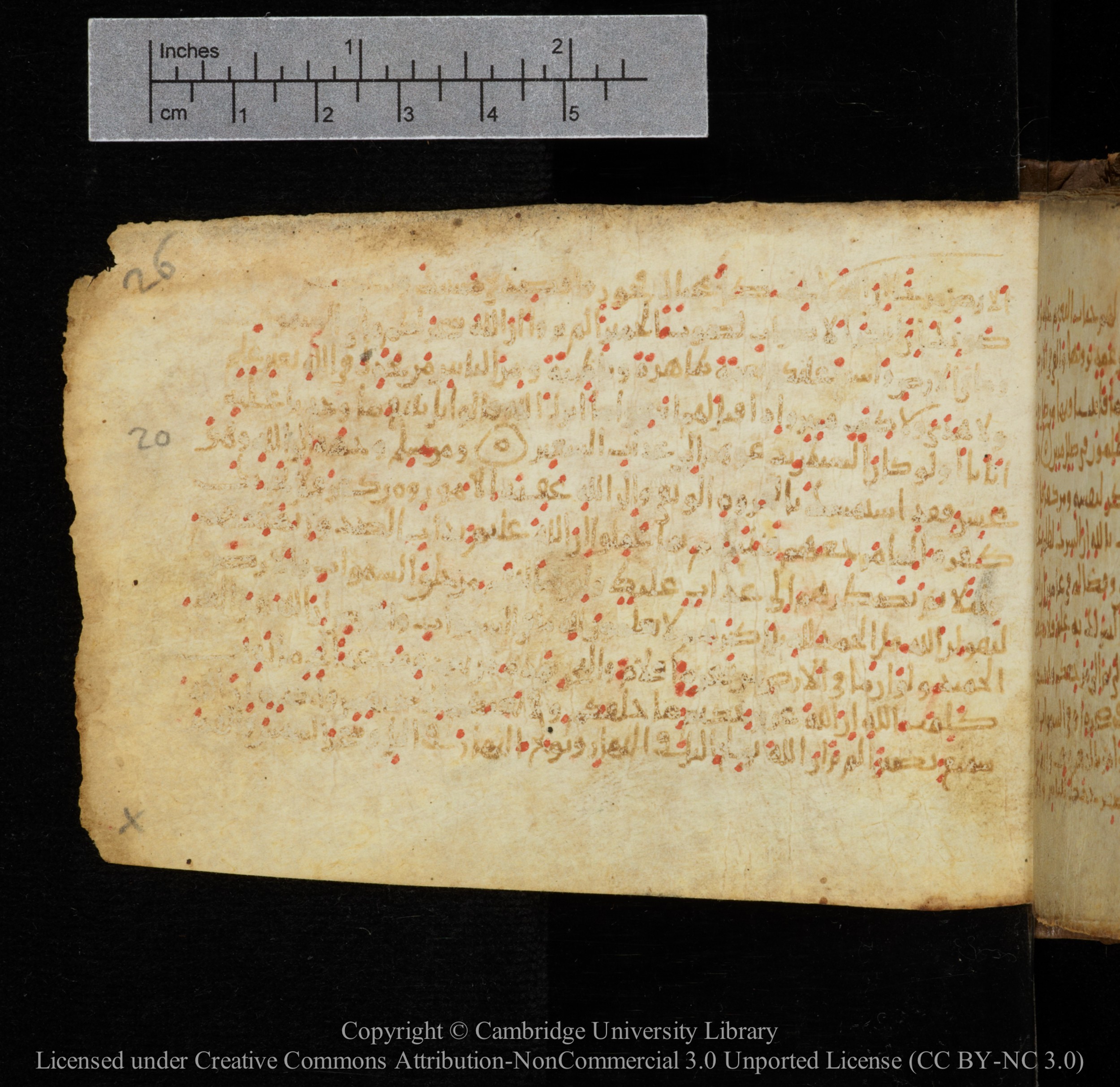 Cambridge, Cambridge University Library, MS Add.1141, in kūfī script, showing Surah 31:21 from 10th to 12th Century AD found in Sinai Peninsula, currently housed at Cambridge University Library, Cambridge