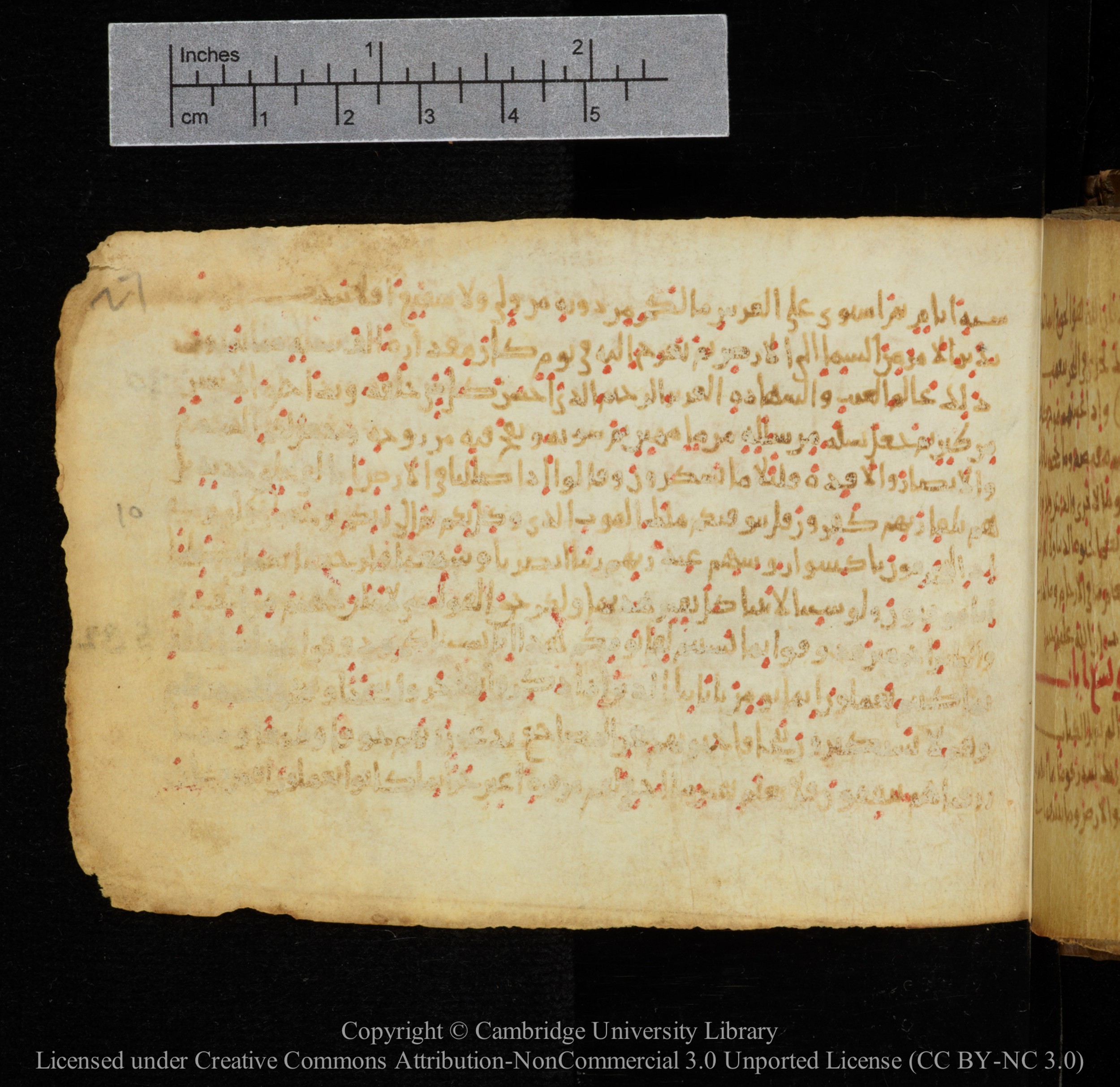 Cambridge, Cambridge University Library, MS Add.1141, in kūfī script, showing Surah 32:7 from 10th to 12th Century AD found in Sinai Peninsula, currently housed at Cambridge University Library, Cambridge