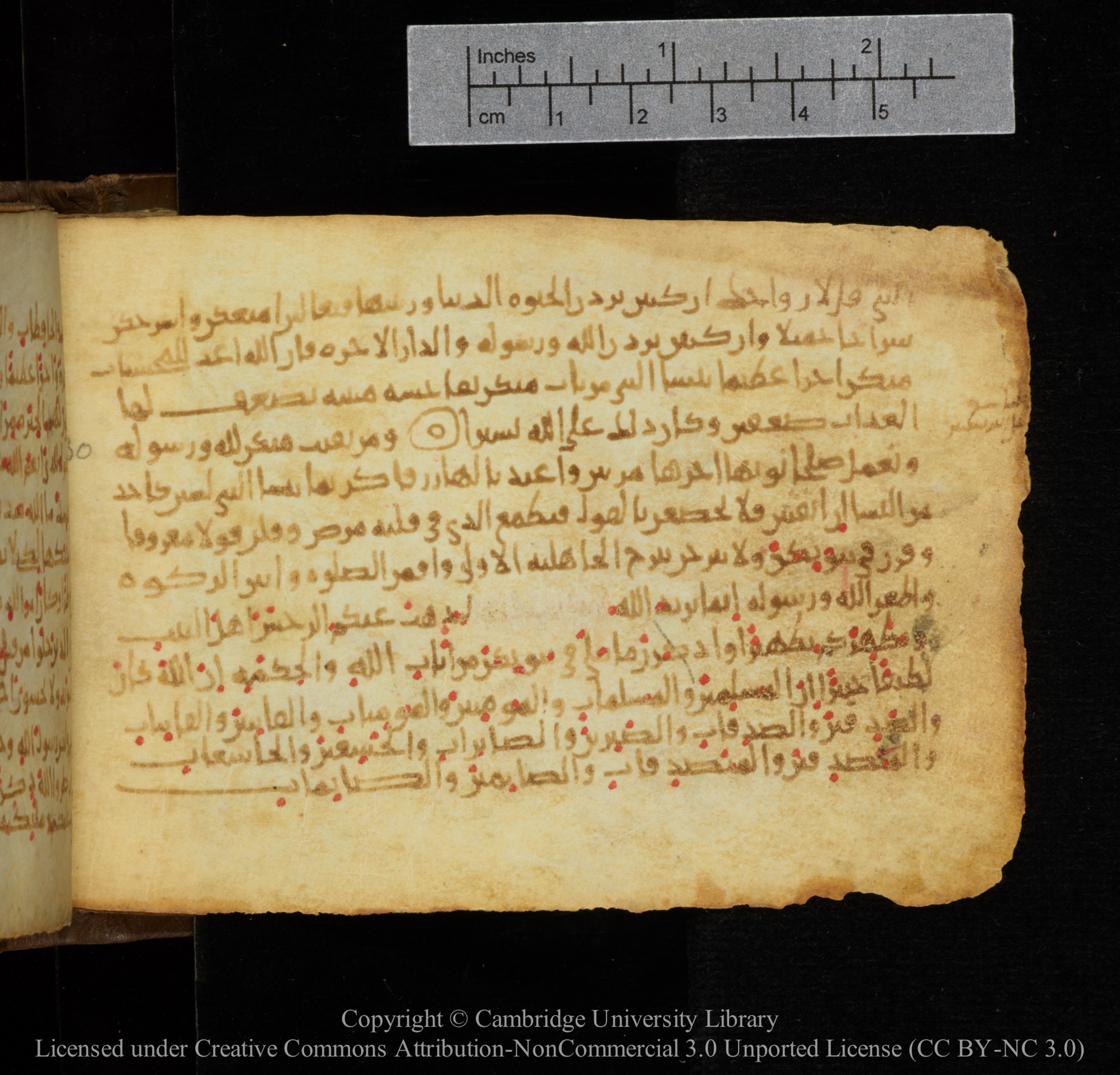 Cambridge, Cambridge University Library, MS Add.1141, in kūfī script, showing Surah 33:32 from 10th to 12th Century AD found in Sinai Peninsula, currently housed at Cambridge University Library, Cambridge