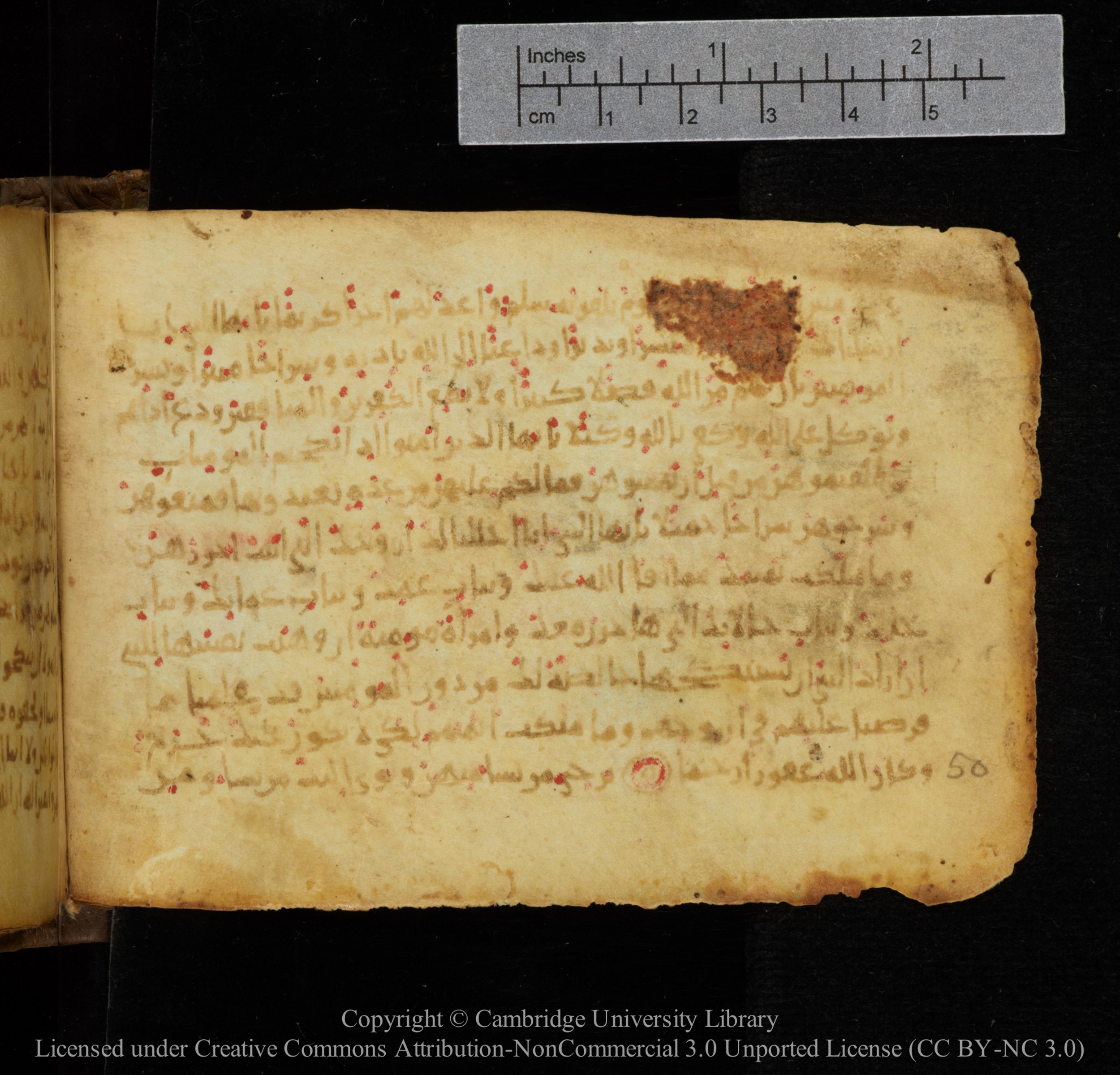 Cambridge, Cambridge University Library, MS Add.1141, in kūfī script, showing Surah 33:49 from 10th to 12th Century AD found in Sinai Peninsula, currently housed at Cambridge University Library, Cambridge