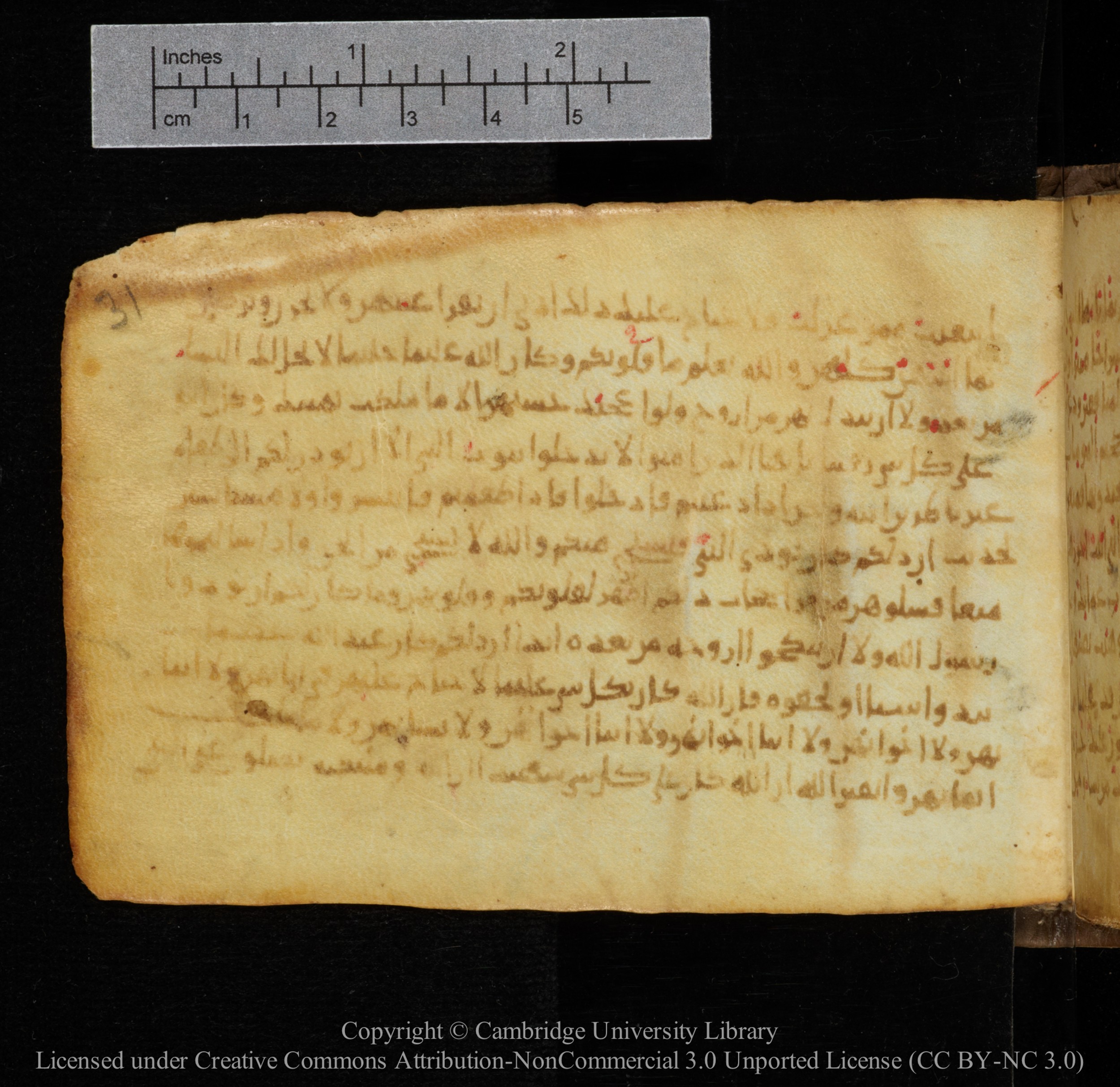 Cambridge, Cambridge University Library, MS Add.1141, in kūfī script, showing Surah 33:52 from 10th to 12th Century AD found in Sinai Peninsula, currently housed at Cambridge University Library, Cambridge
