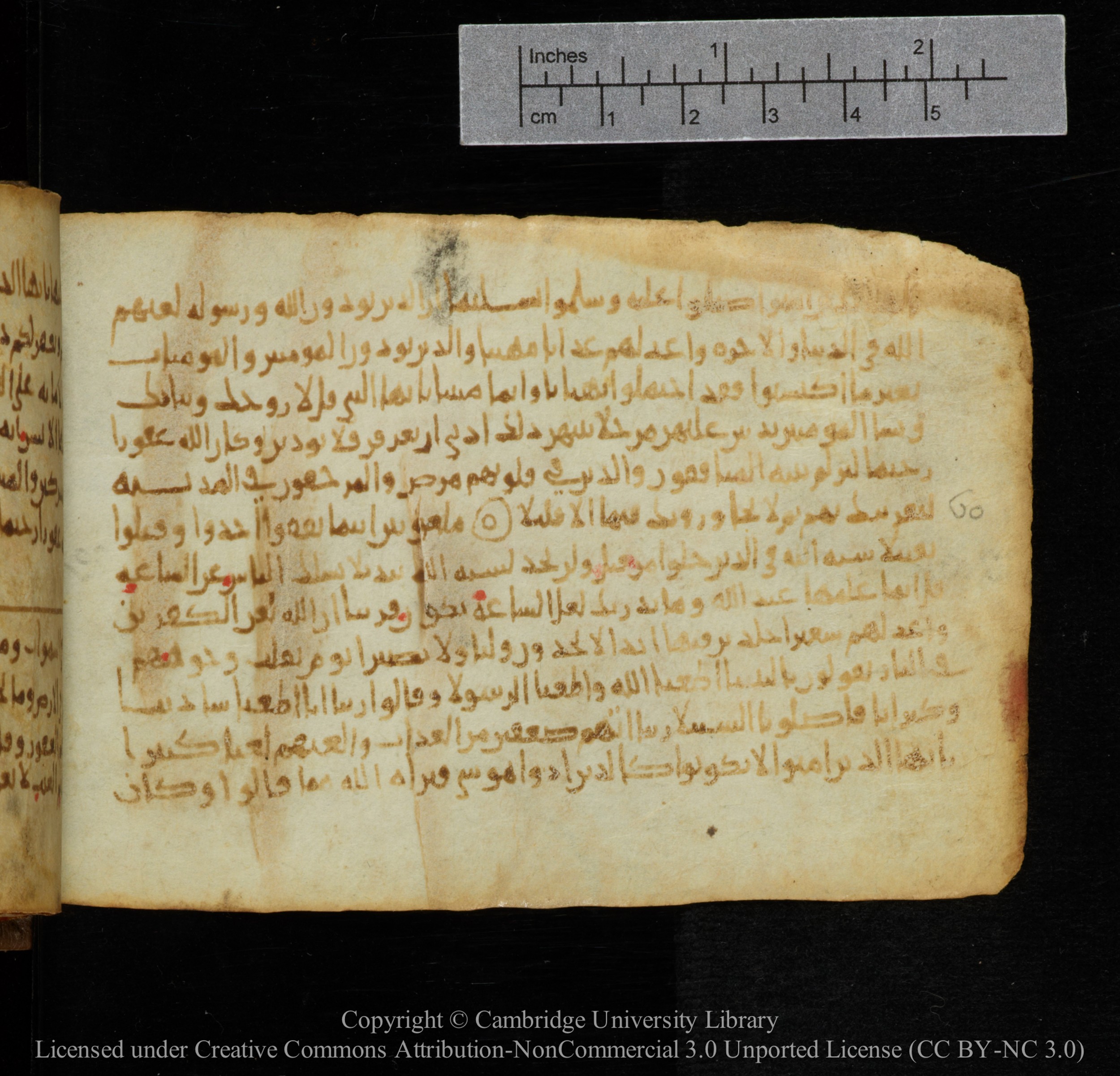 Cambridge, Cambridge University Library, MS Add.1141, in kūfī script, showing Surah 33:64 from 10th to 12th Century AD found in Sinai Peninsula, currently housed at Cambridge University Library, Cambridge