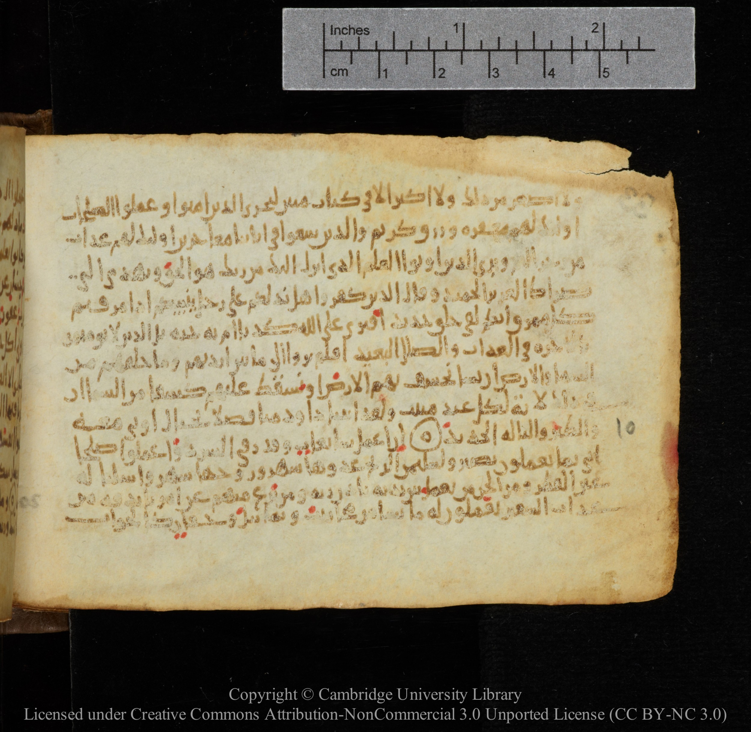 Cambridge, Cambridge University Library, MS Add.1141, in kūfī script, showing Surah 34:7 from 10th to 12th Century AD found in Sinai Peninsula, currently housed at Cambridge University Library, Cambridge