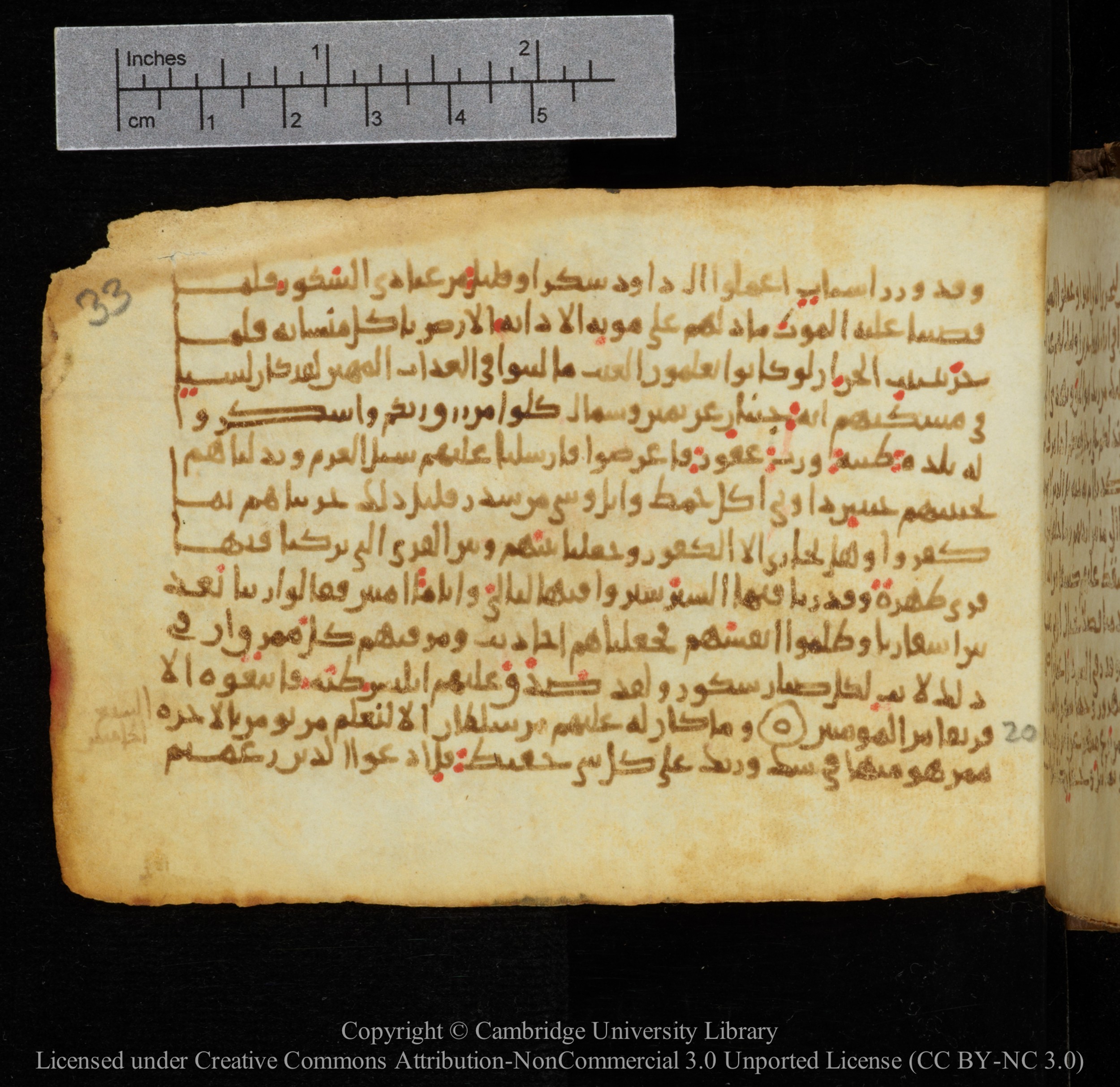 Cambridge, Cambridge University Library, MS Add.1141 (Scan 1), in kūfī script, showing Surah 34:22 from 10th to 12th Century AD found in Sinai Peninsula, currently housed at Cambridge University Library, Cambridge