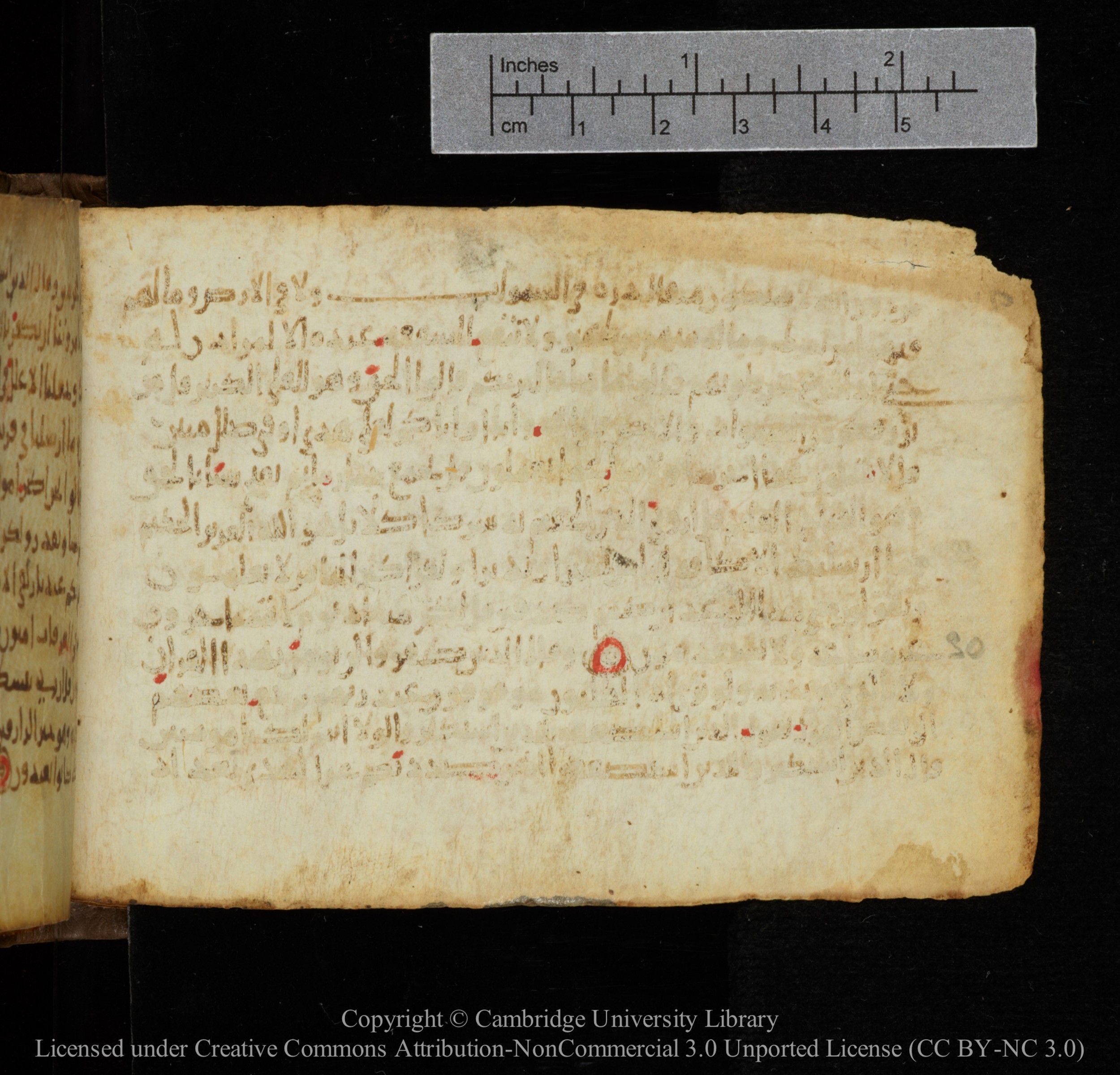 Cambridge, Cambridge University Library, MS Add.1141 (Scan 2), in kūfī script, showing Surah 34:22 from 10th to 12th Century AD found in Sinai Peninsula, currently housed at Cambridge University Library, Cambridge