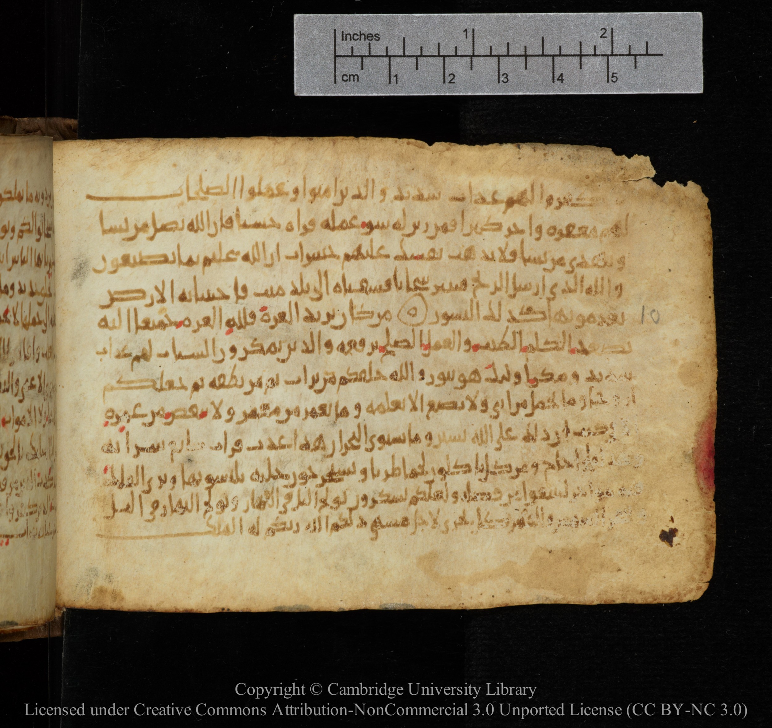 Cambridge, Cambridge University Library, MS Add.1141 (Scan 2), in kūfī script, showing Surah 35:7 from 10th to 12th Century AD found in Sinai Peninsula, currently housed at Cambridge University Library, Cambridge