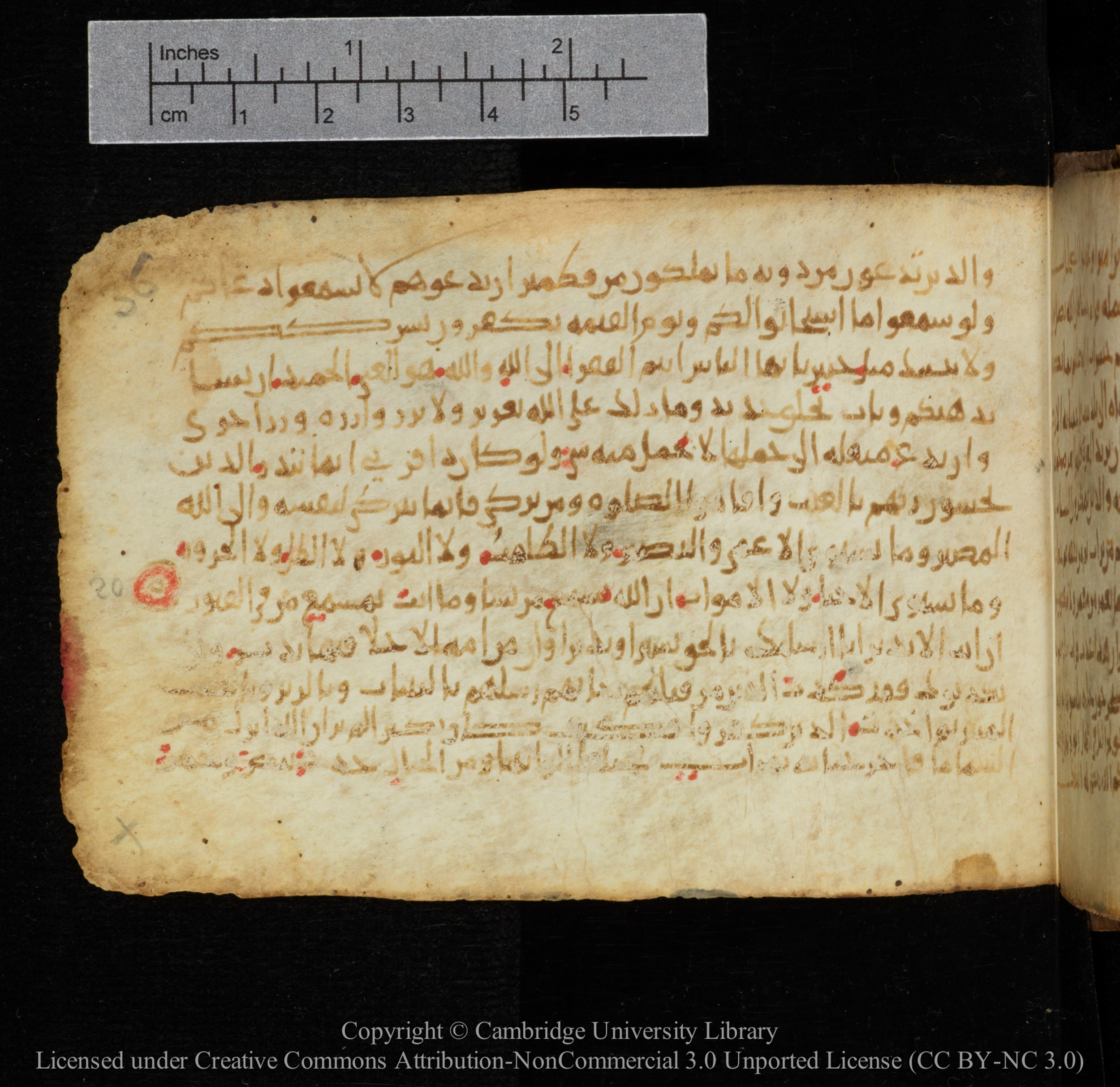 Cambridge, Cambridge University Library, MS Add.1141, in kūfī script, showing Surah 35:21 from 10th to 12th Century AD found in Sinai Peninsula, currently housed at Cambridge University Library, Cambridge