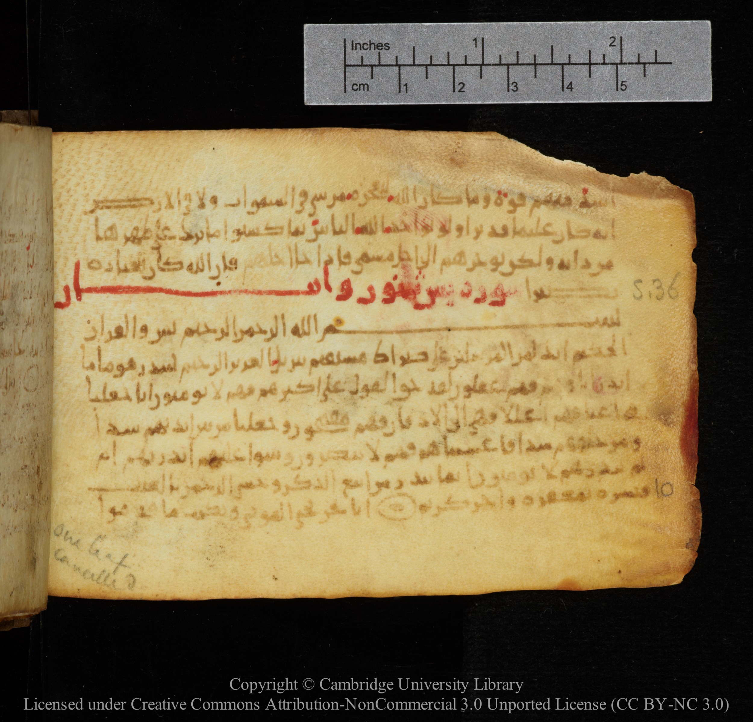 Cambridge, Cambridge University Library, MS Add.1141, in kūfī script, showing Surah 36:3 from 10th to 12th Century AD found in Sinai Peninsula, currently housed at Cambridge University Library, Cambridge
