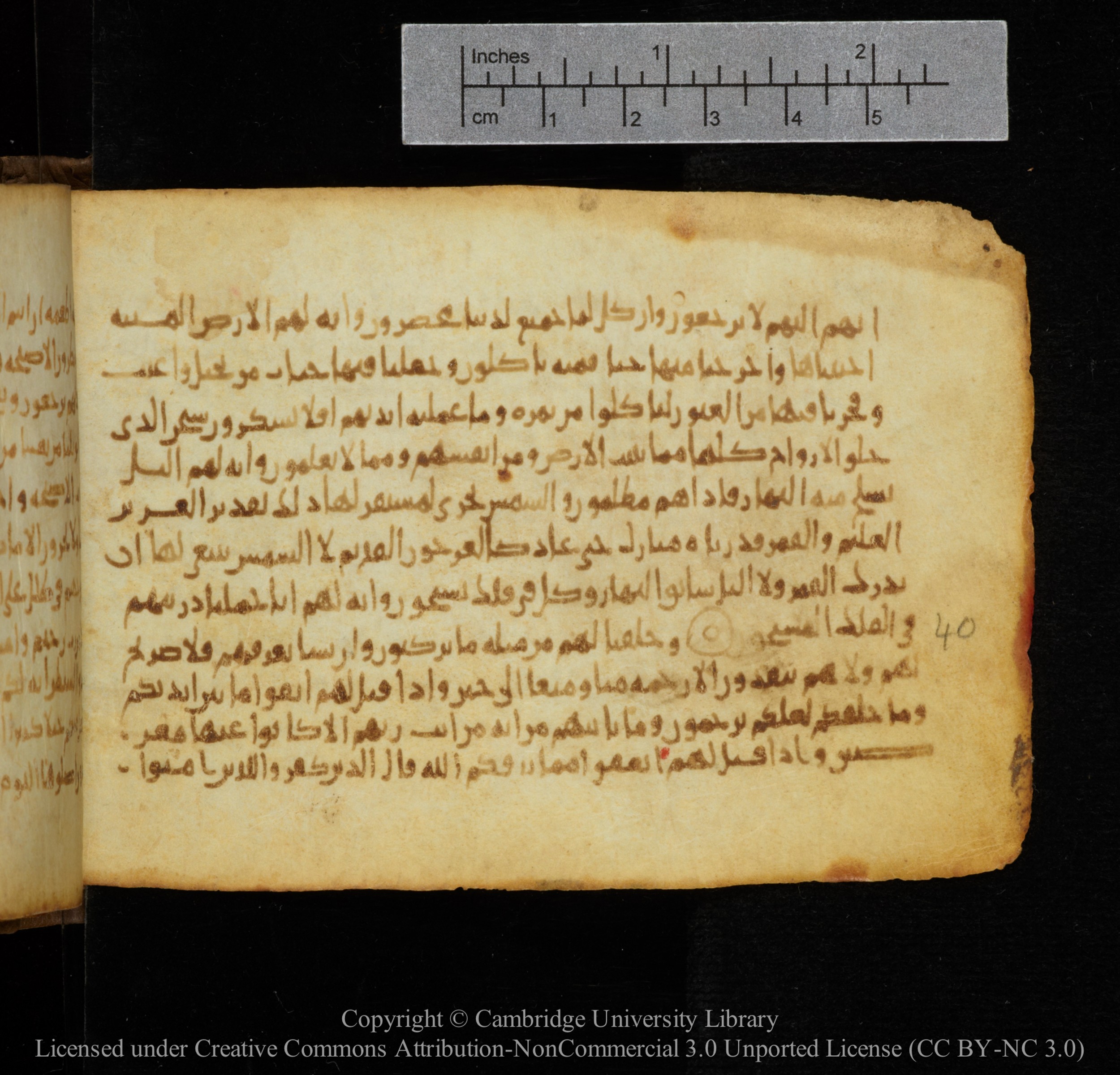 Cambridge, Cambridge University Library, MS Add.1141, in kūfī script, showing Surah 36:32 from 10th to 12th Century AD found in Sinai Peninsula, currently housed at Cambridge University Library, Cambridge
