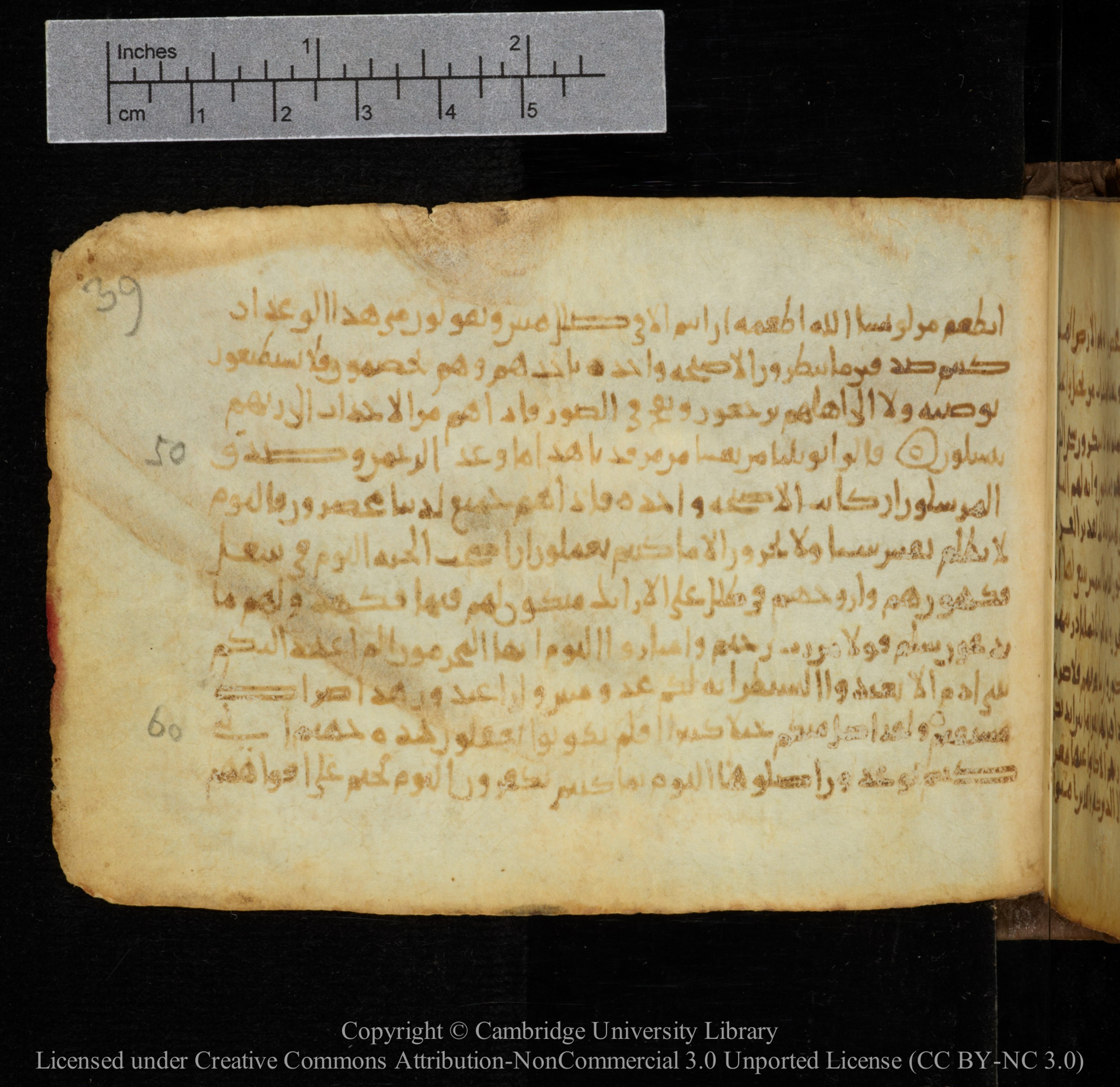 Cambridge, Cambridge University Library, MS Add.1141, in kūfī script, showing Surah 36:49 from 10th to 12th Century AD found in Sinai Peninsula, currently housed at Cambridge University Library, Cambridge