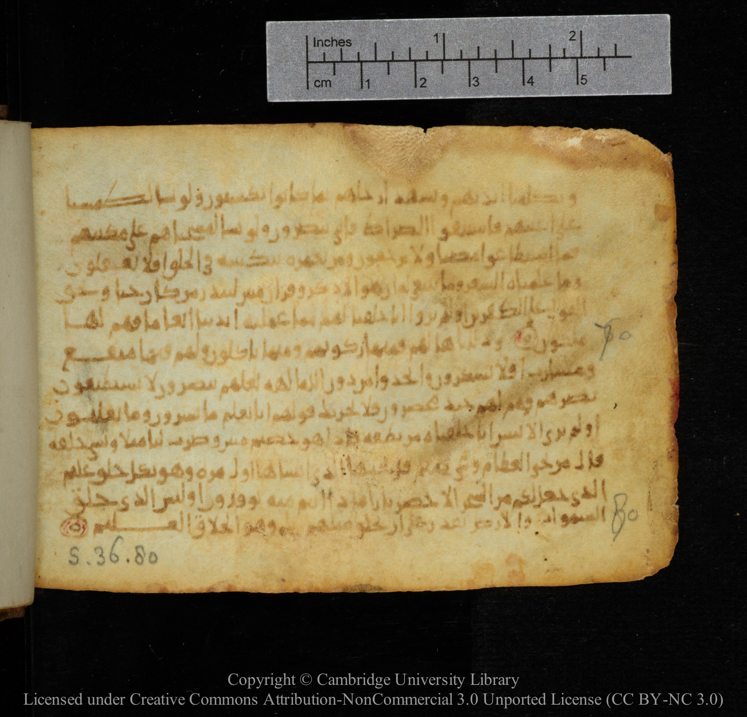 Cambridge, Cambridge University Library, MS Add.1141, in kūfī script, showing Surah 36:76 from 10th to 12th Century AD found in Sinai Peninsula, currently housed at Cambridge University Library, Cambridge