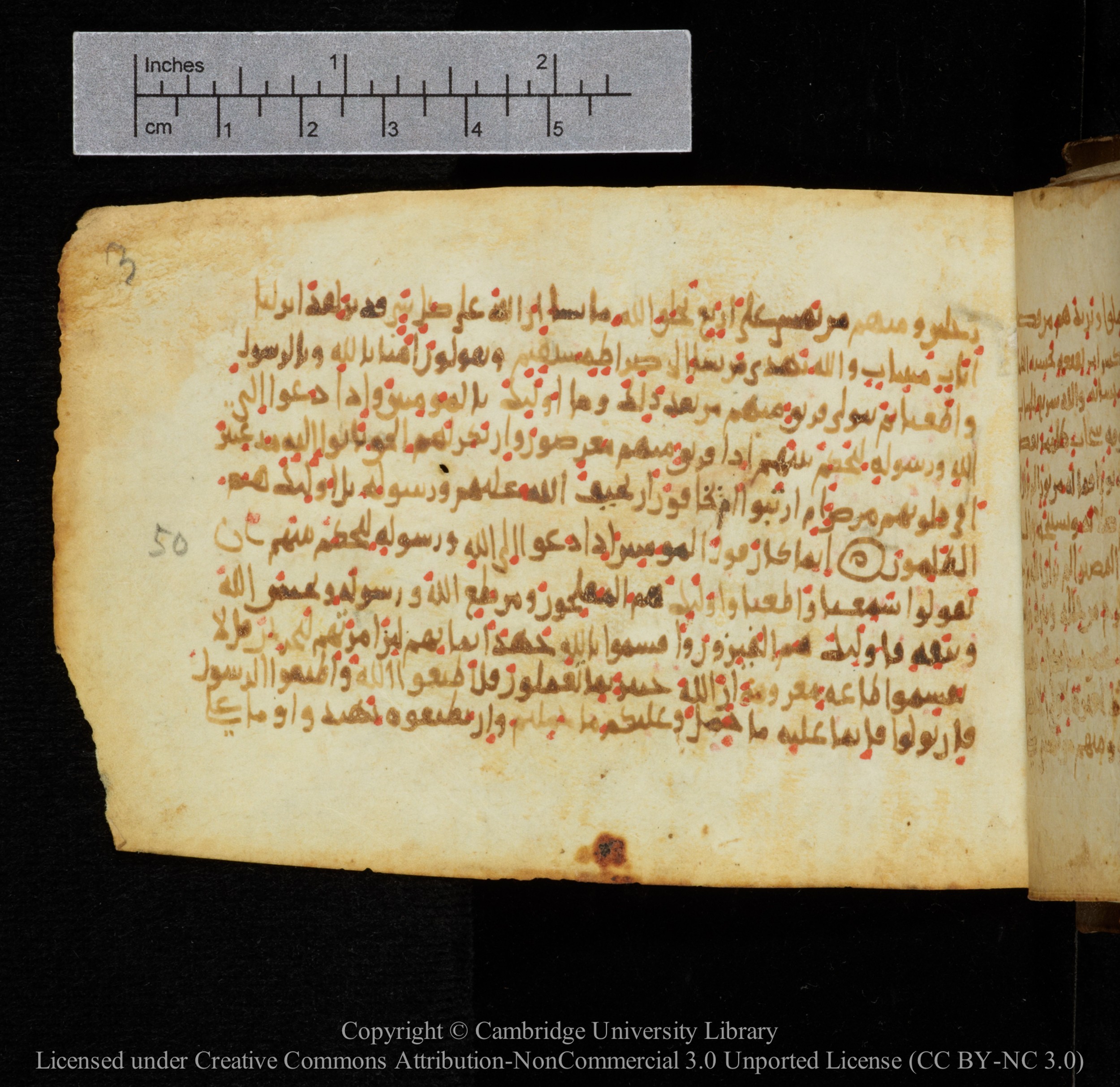 Cambridge, Cambridge University Library, MS Add.1141, in kūfī script, showing Surah 24:49 from 10th to 12th Century AD found in Sinai Peninsula, currently housed at Cambridge University Library, Cambridge