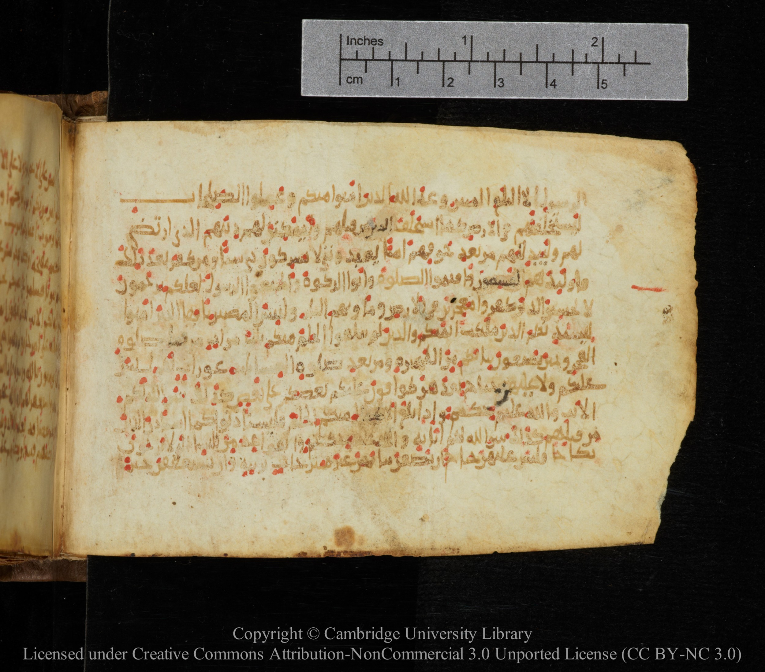 Cambridge, Cambridge University Library, MS Add.1141, in kūfī script, showing Surah 24:59 from 10th to 12th Century AD found in Sinai Peninsula, currently housed at Cambridge University Library, Cambridge