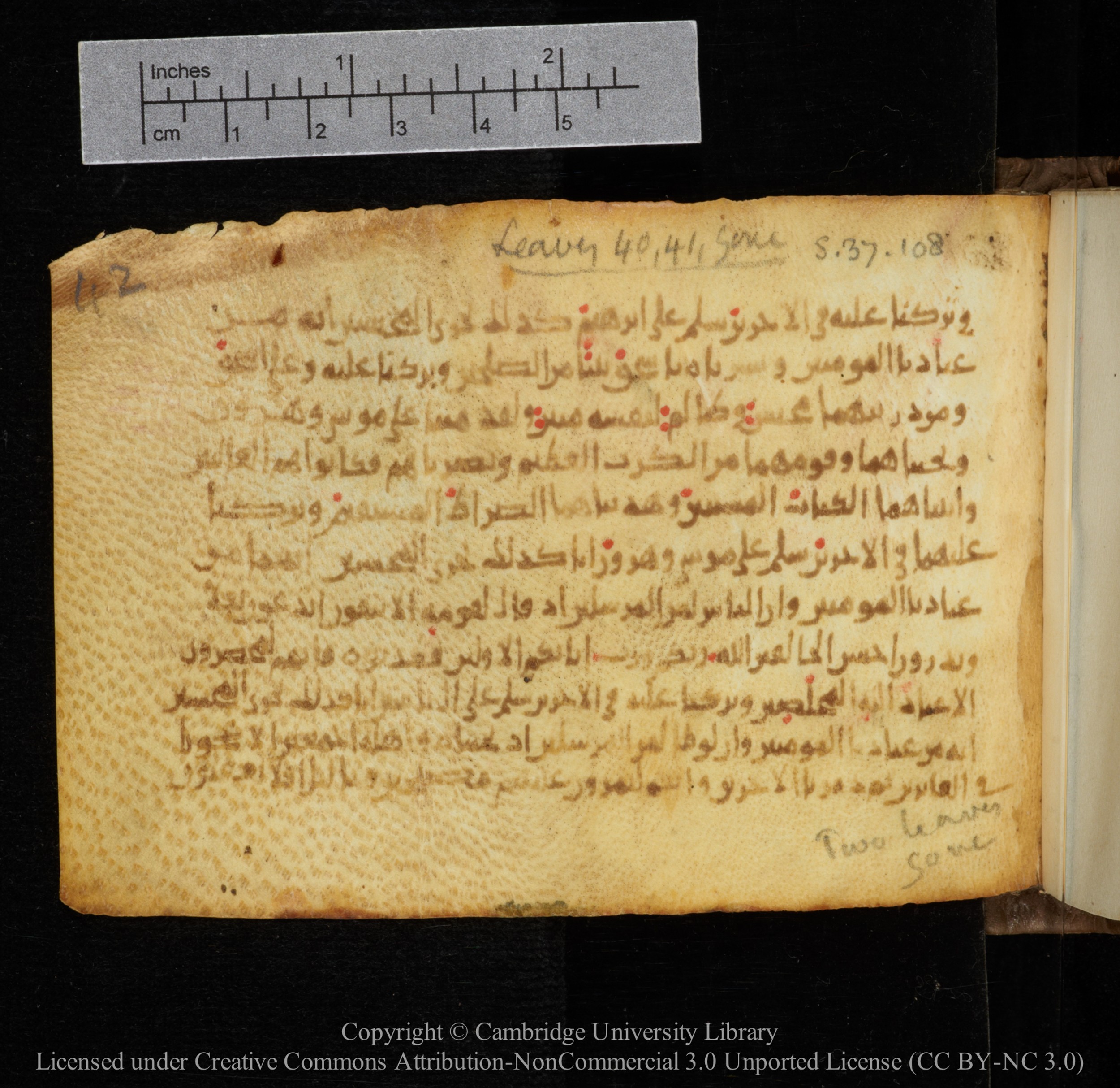Cambridge, Cambridge University Library, MS Add.1141, in kūfī script, showing Surah 37:113 from 10th to 12th Century AD found in Sinai Peninsula, currently housed at Cambridge University Library, Cambridge