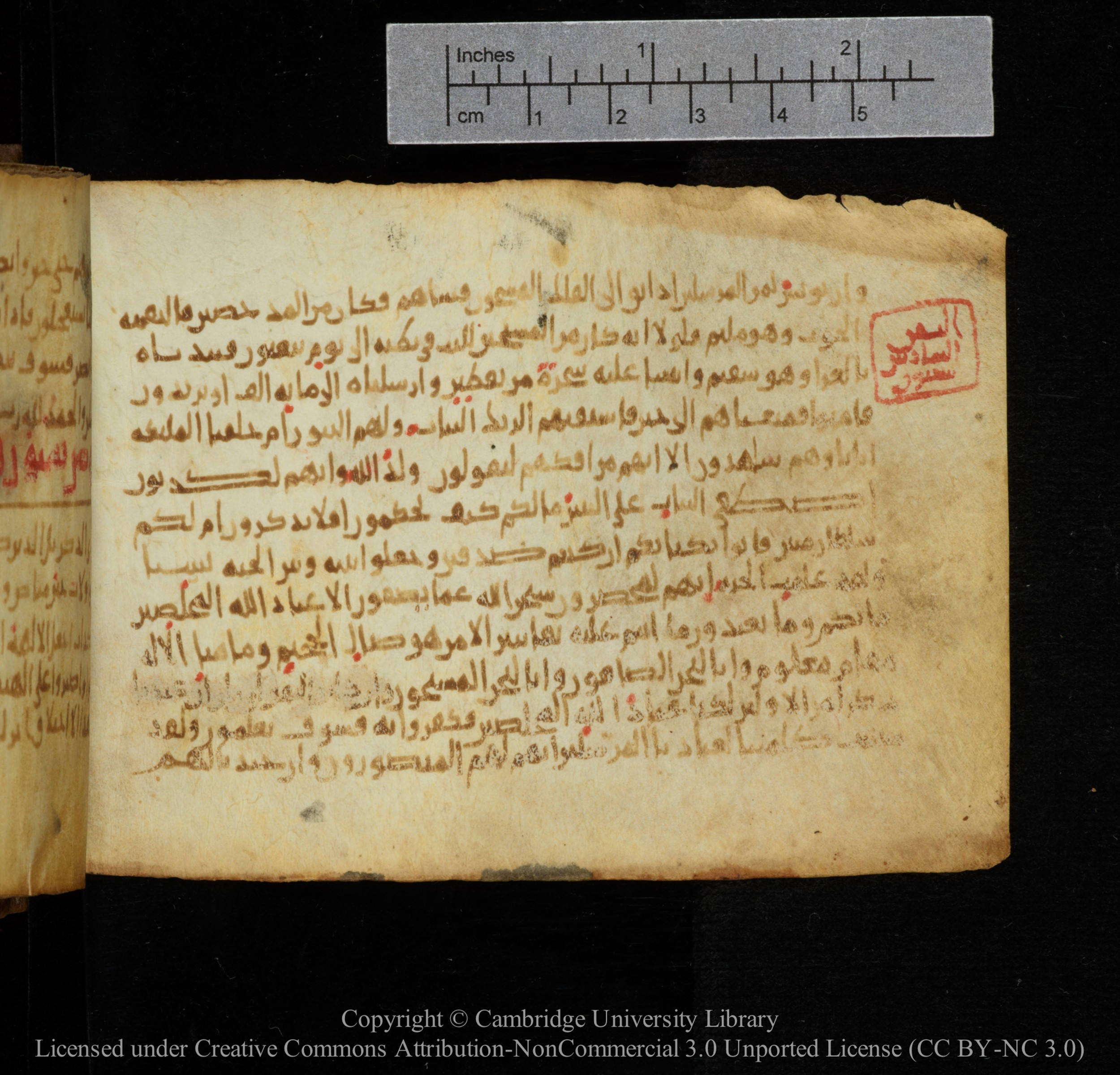 Cambridge, Cambridge University Library, MS Add.1141, in kūfī script, showing Surah 37:166 from 10th to 12th Century AD found in Sinai Peninsula, currently housed at Cambridge University Library, Cambridge